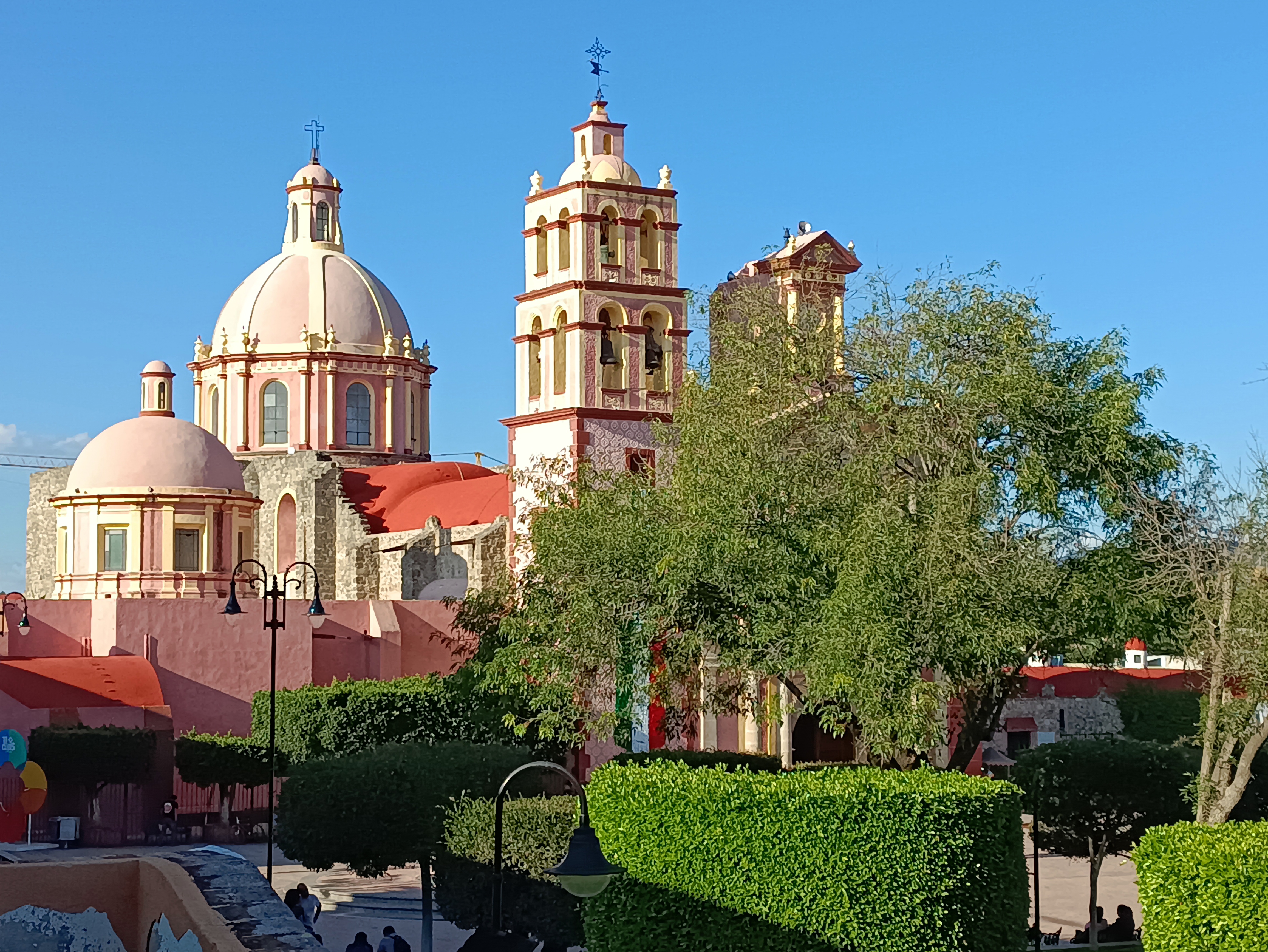 Cilantro y Perejil image 5