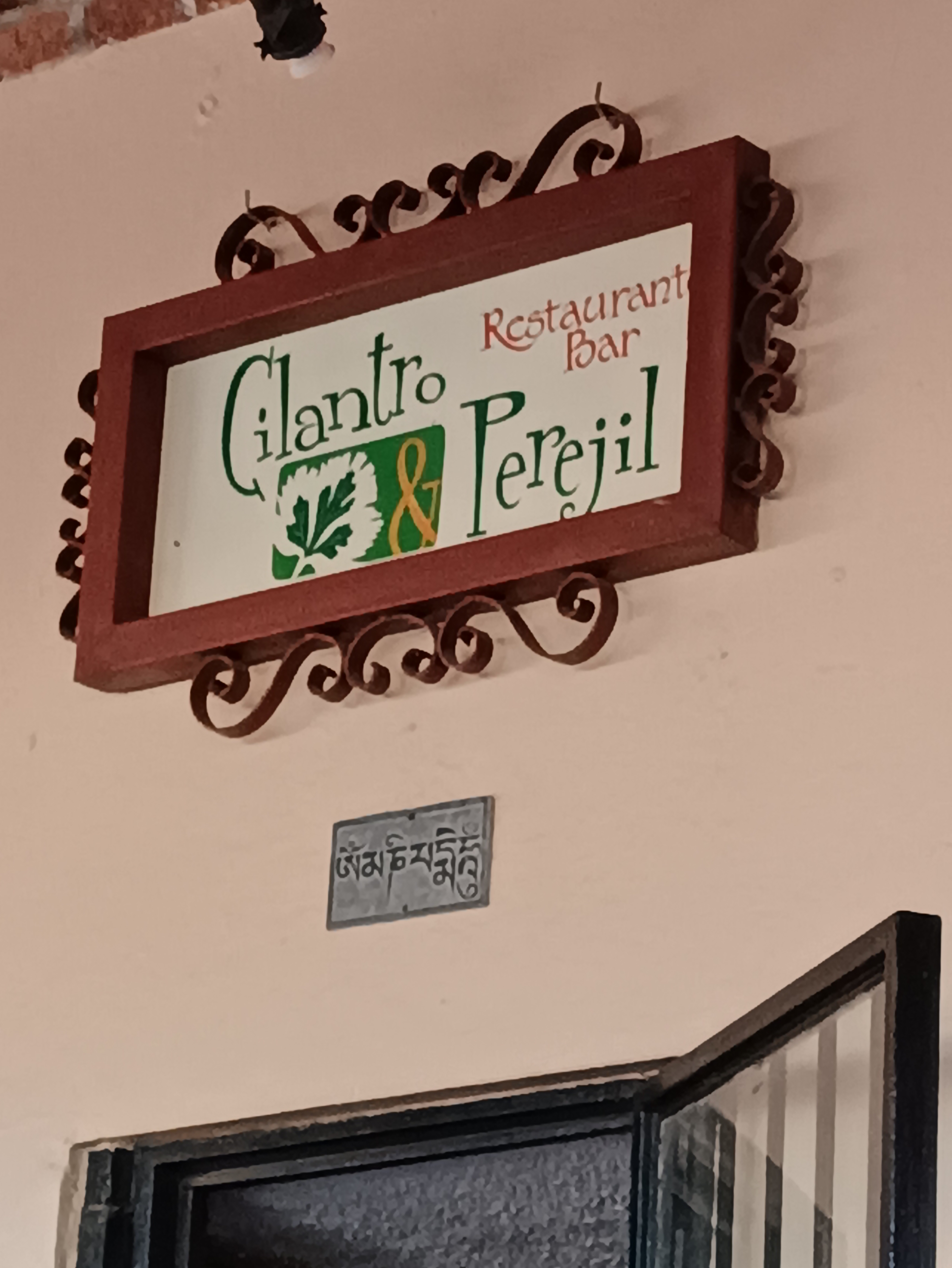 Cilantro y Perejil image 7