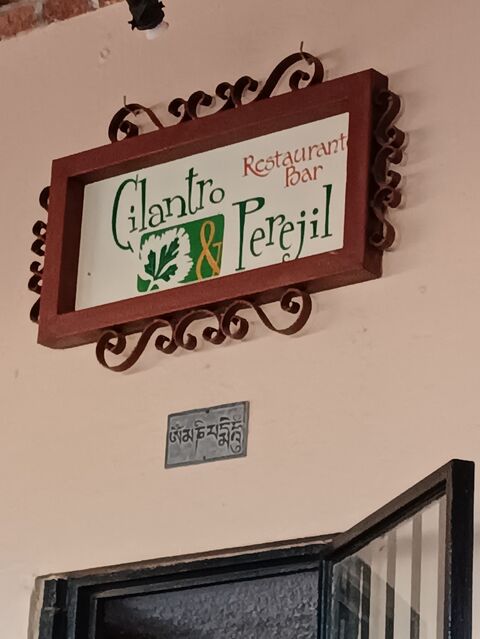 Cilantro y Perejil image 7