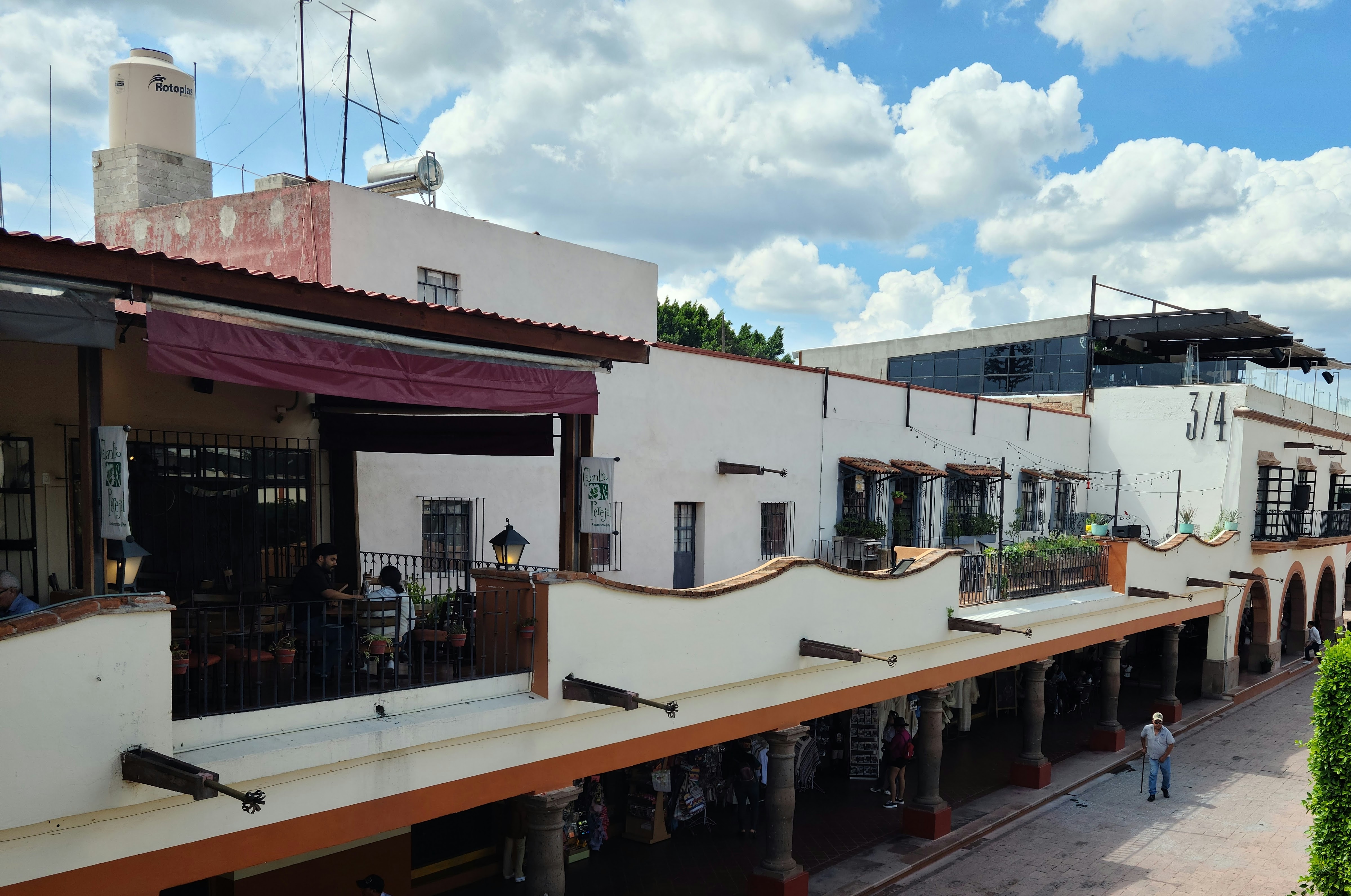 Cilantro y Perejil image 8