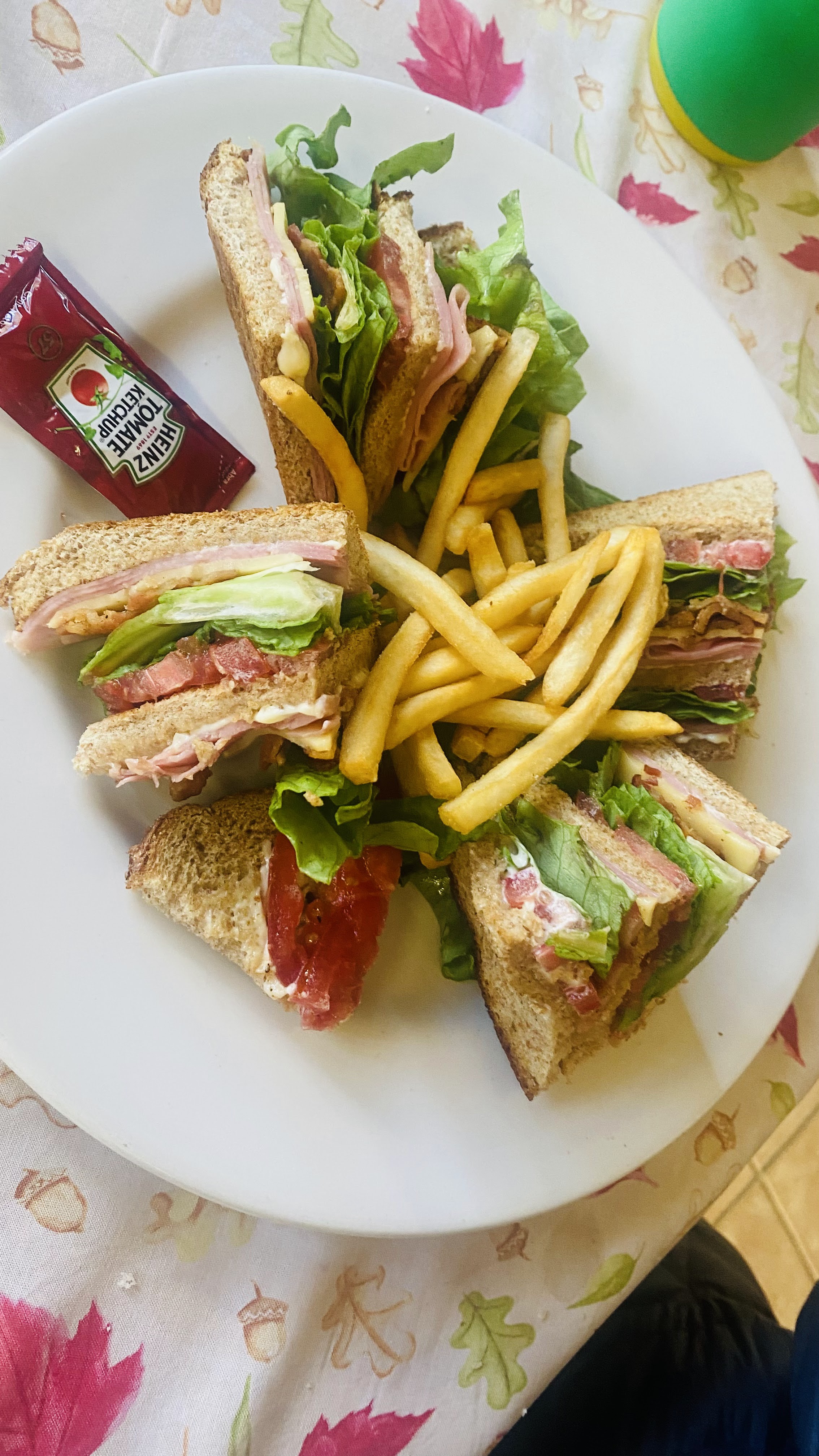 Rincón Austriaco image 3