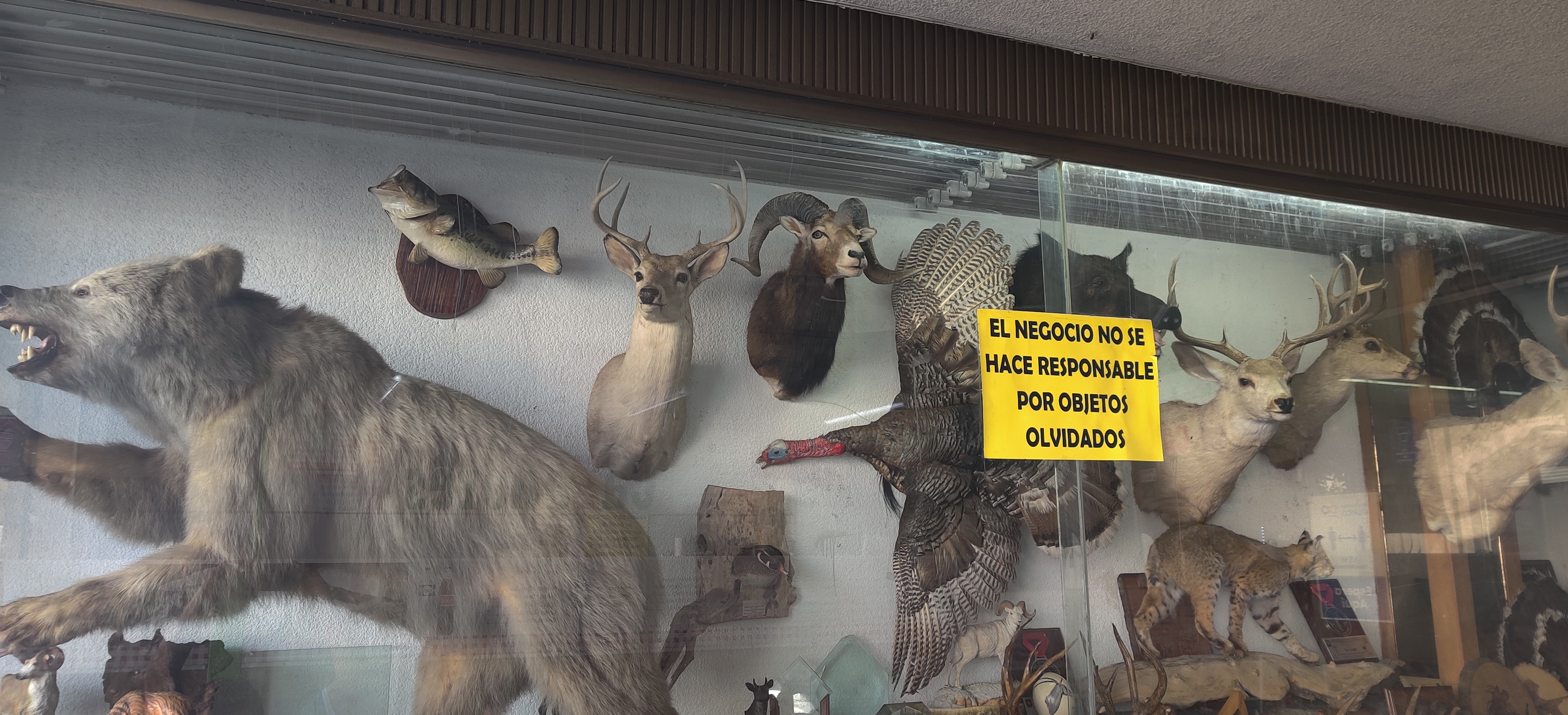 Loncheria Cazadores image 3