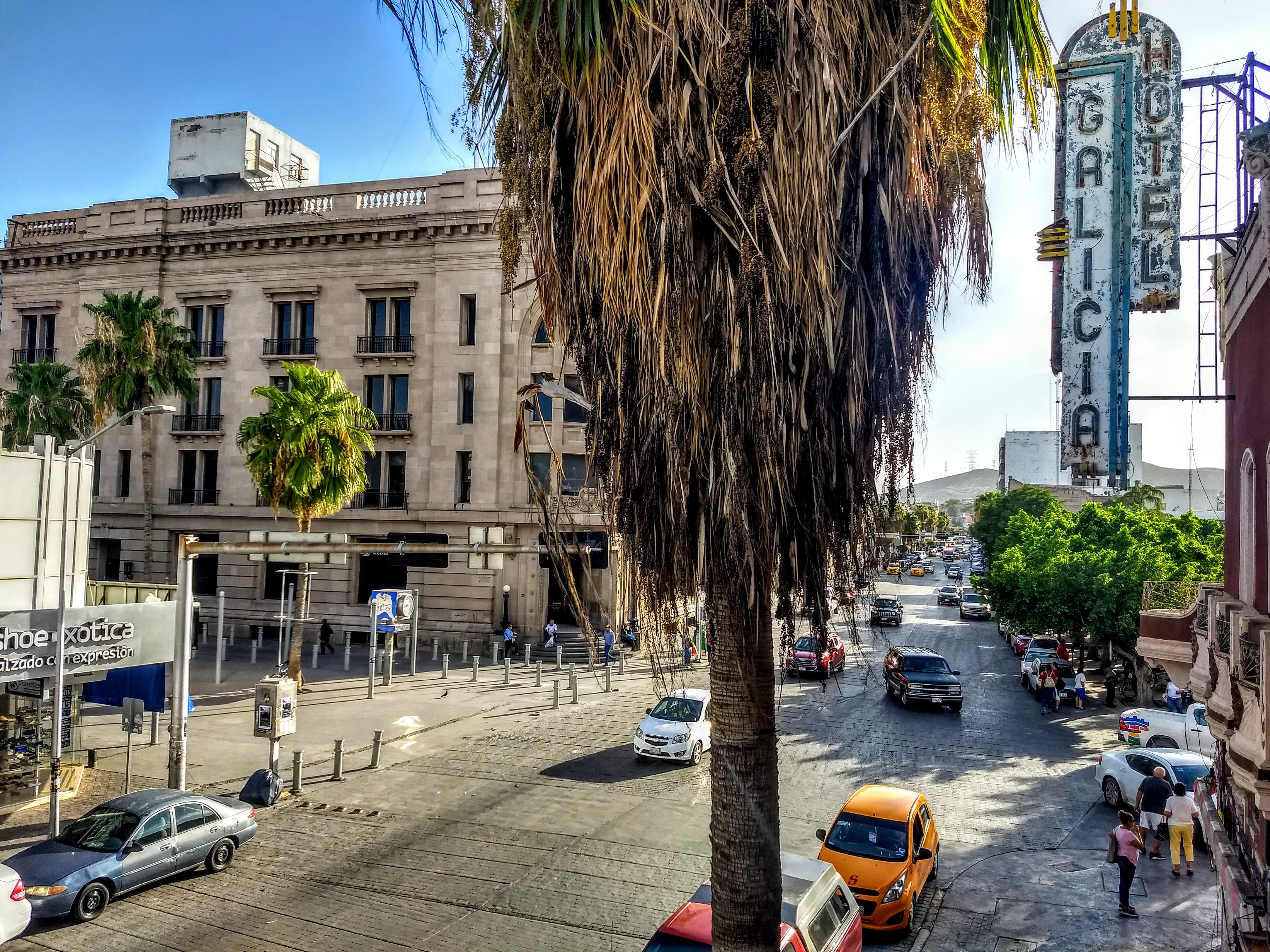 Restaurant Xin Hua image 5