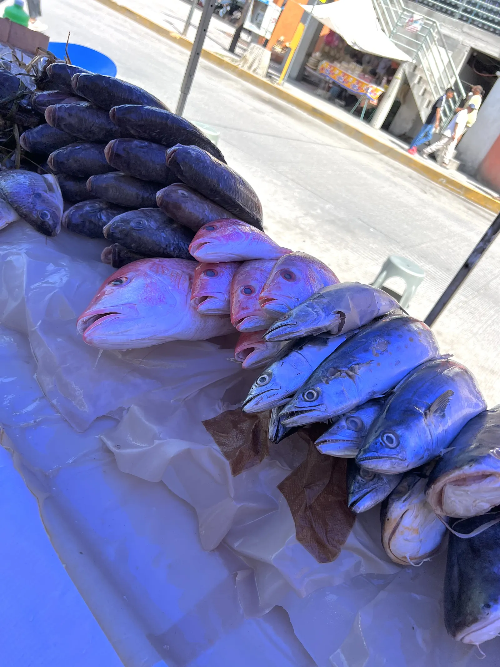 Pescados y mariscos "XIMENA" image 2