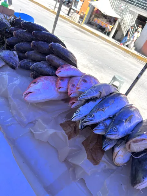 Pescados y mariscos "XIMENA" image 2