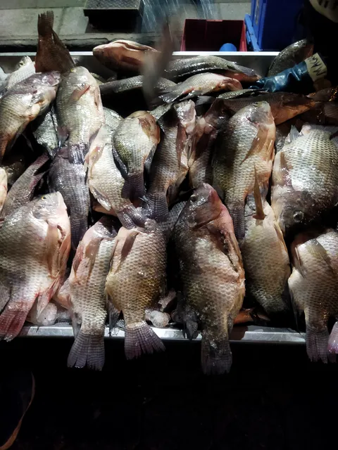 Pescados y mariscos "XIMENA" image 5