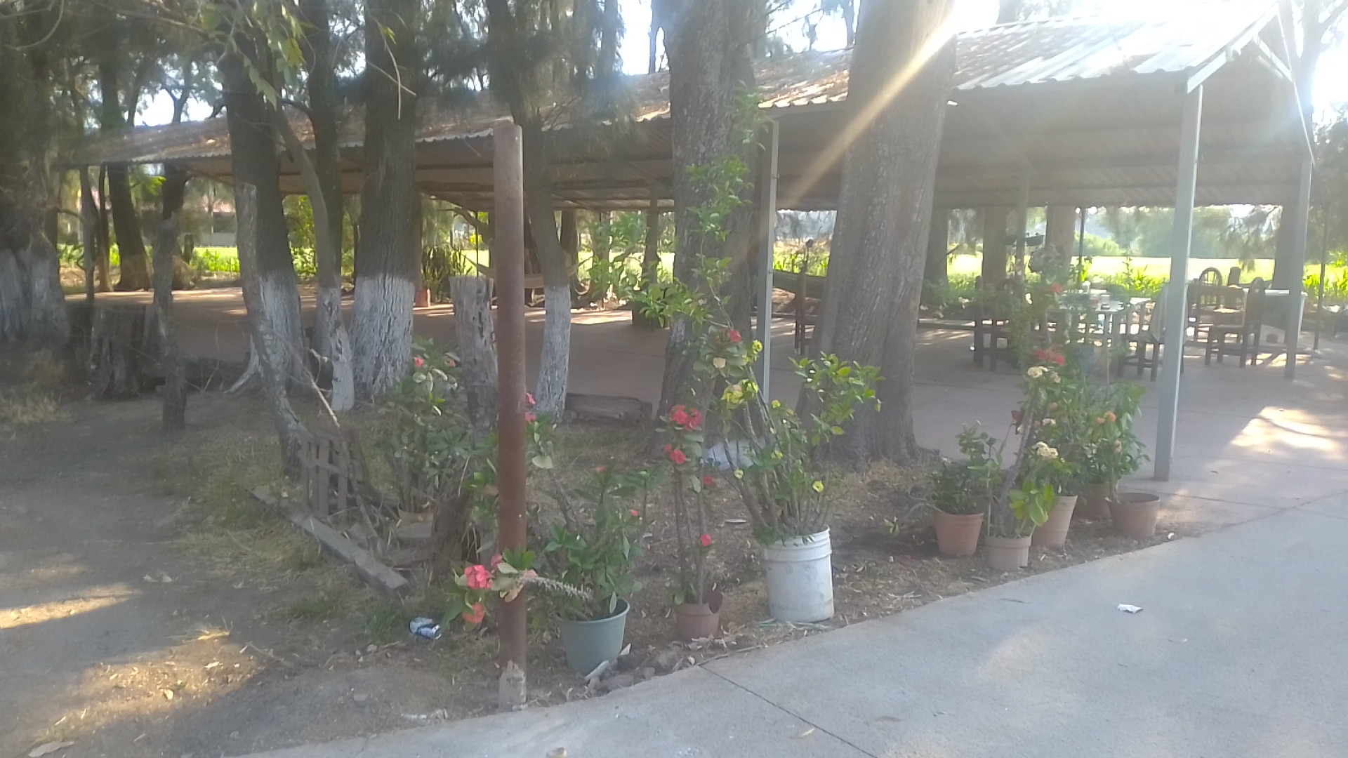 Terraza Adela image 2