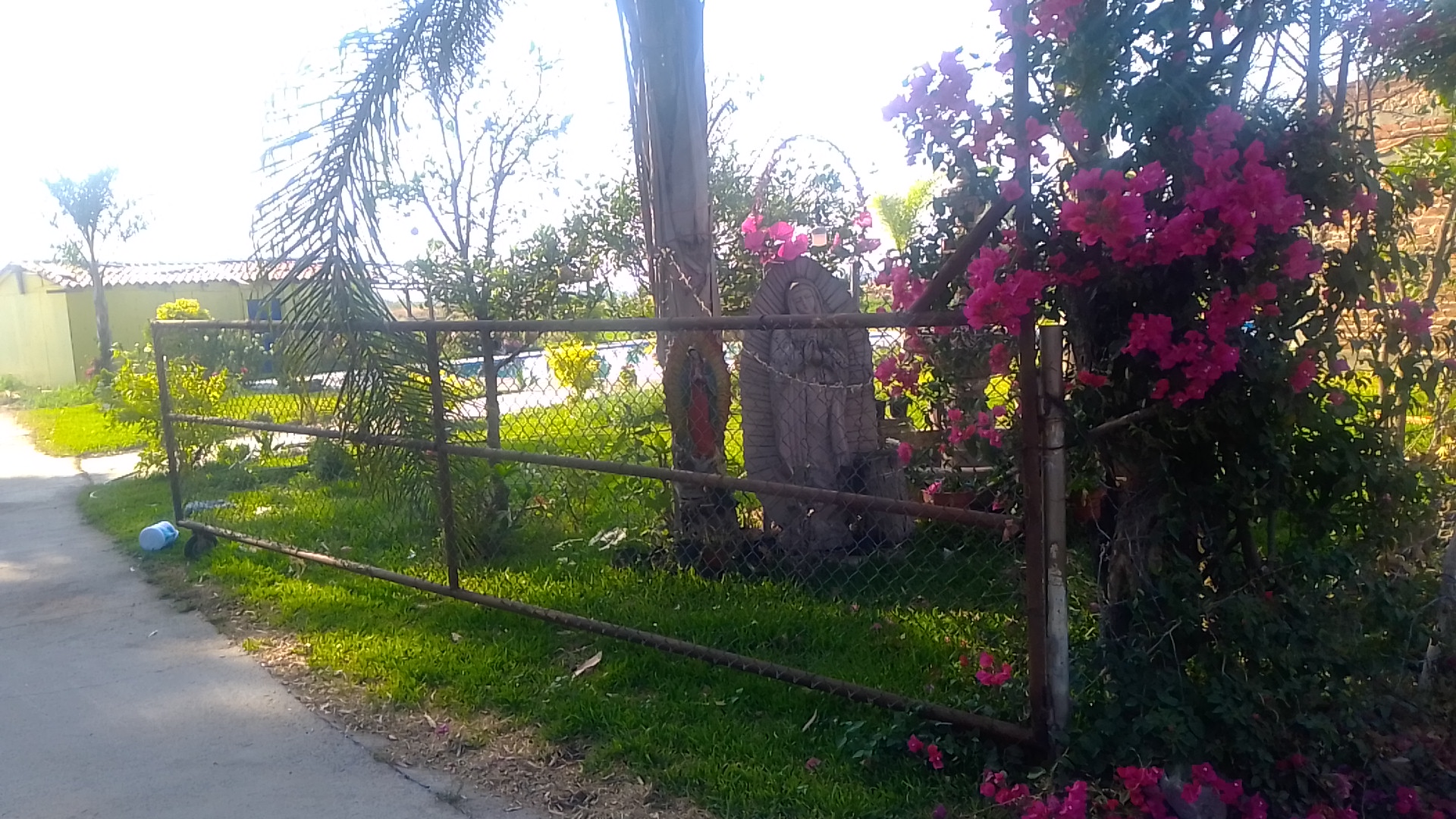 Terraza Adela image 3