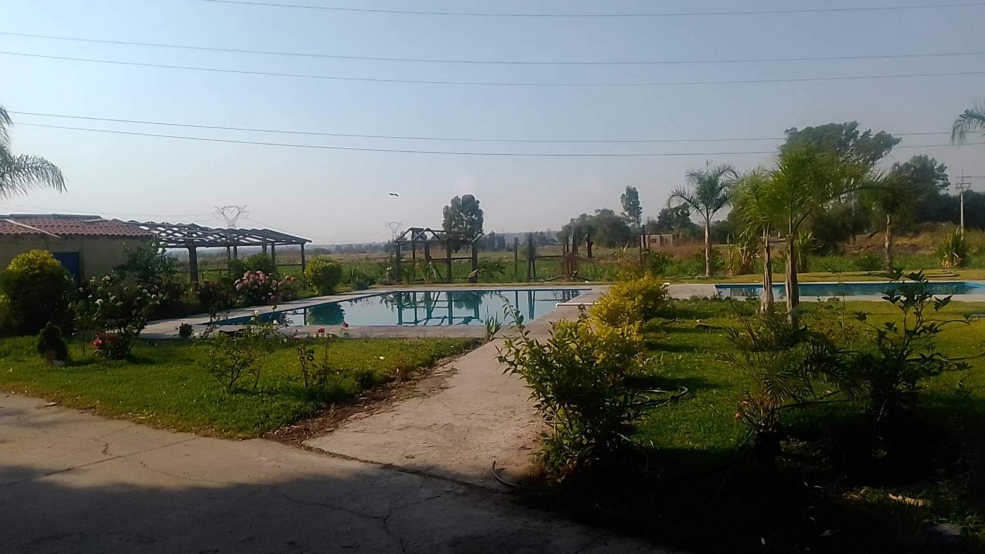 Terraza Adela image 5