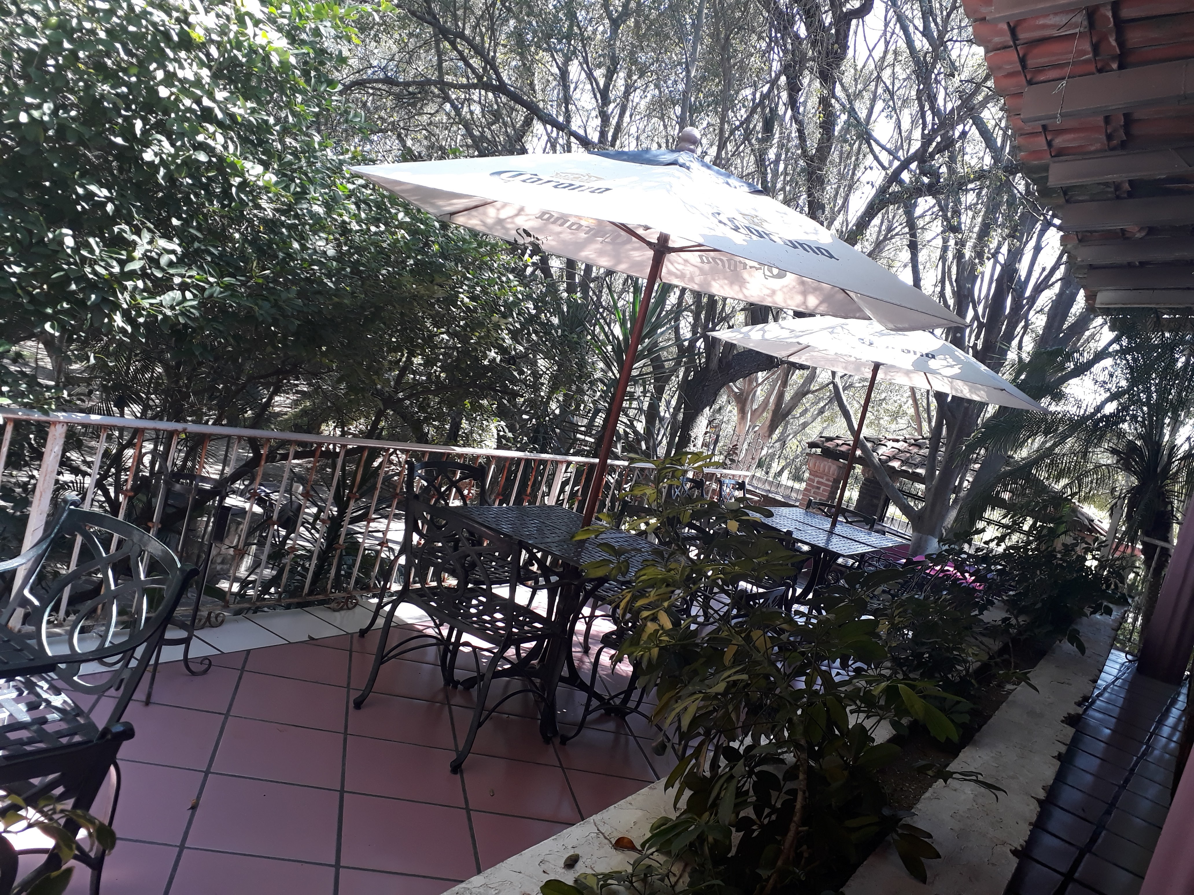 Restaurante Hacienda Bugambilias image 9