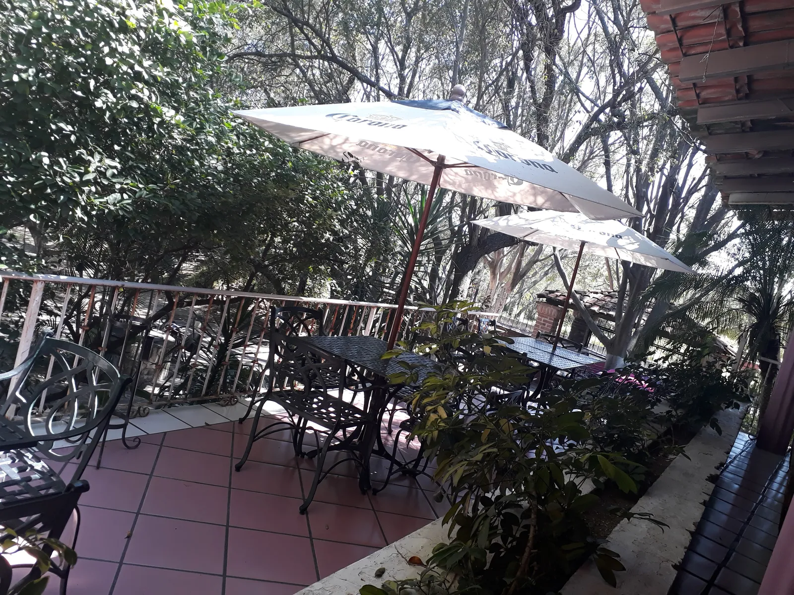 Restaurante Hacienda Bugambilias image 9