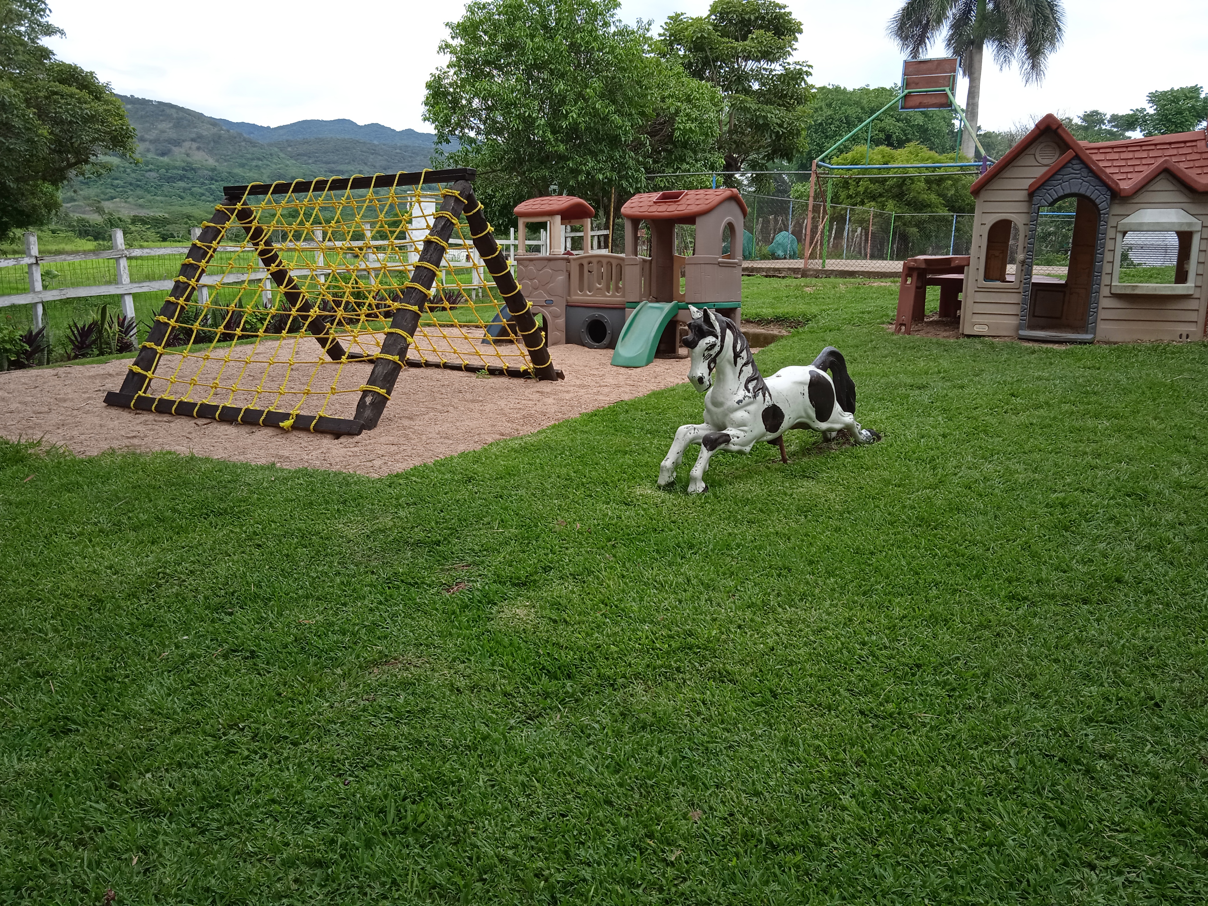 Ristorante del Italiano image 10