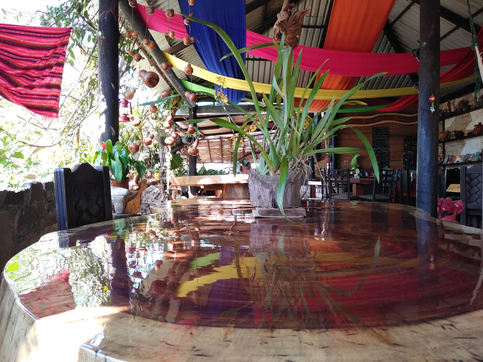 Restaurante "El Bosquecito" image 1