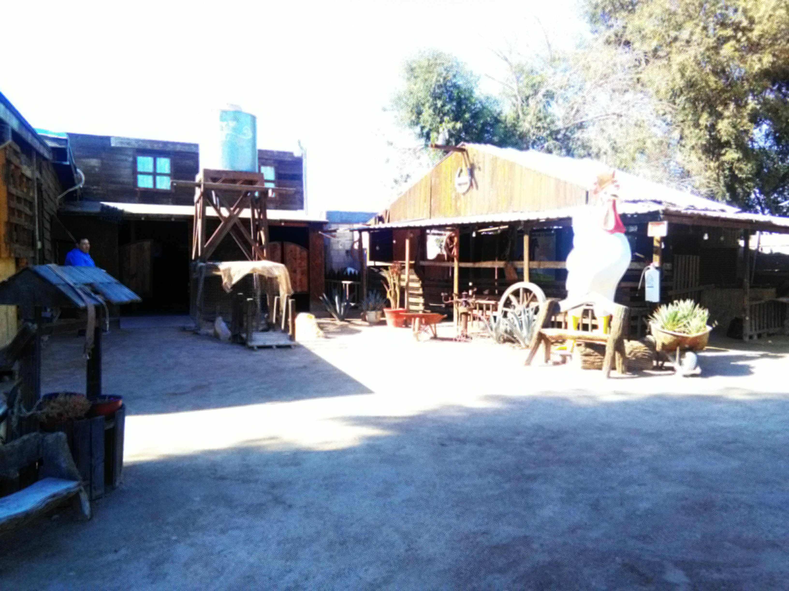 Restaurante "El Bosquecito" image 9