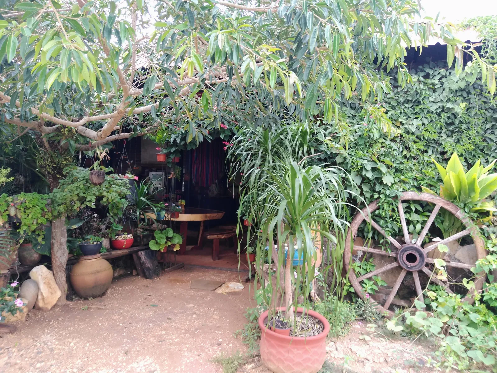Restaurante "El Bosquecito" image 10