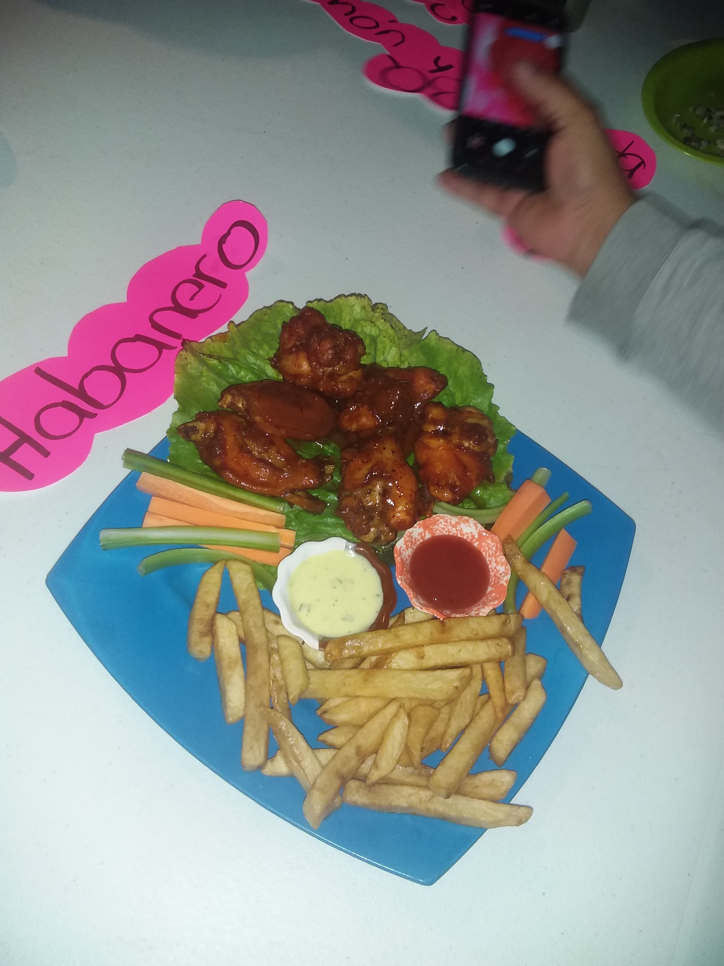 Alitas Salvajes image 2