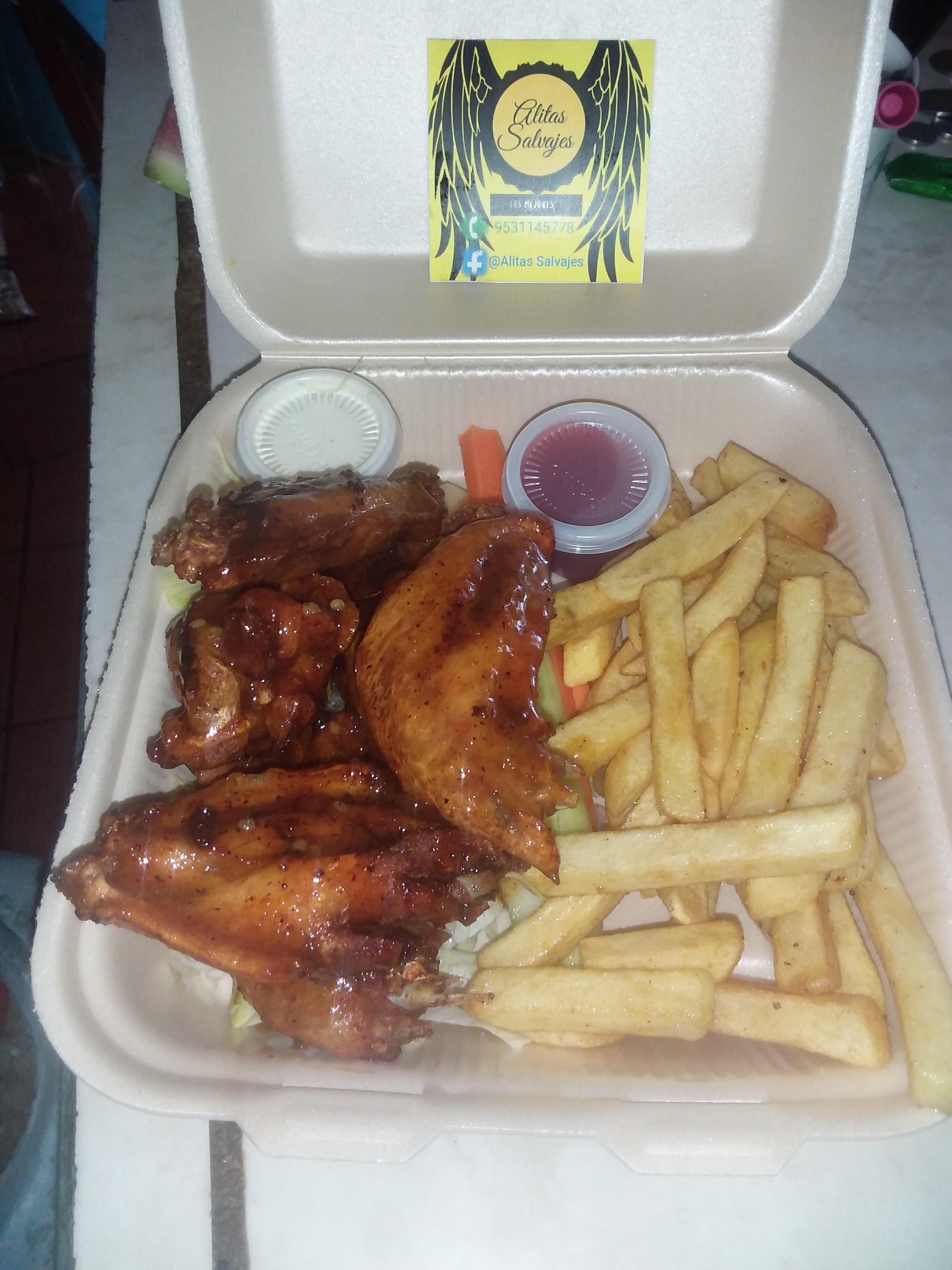 Alitas Salvajes image 3