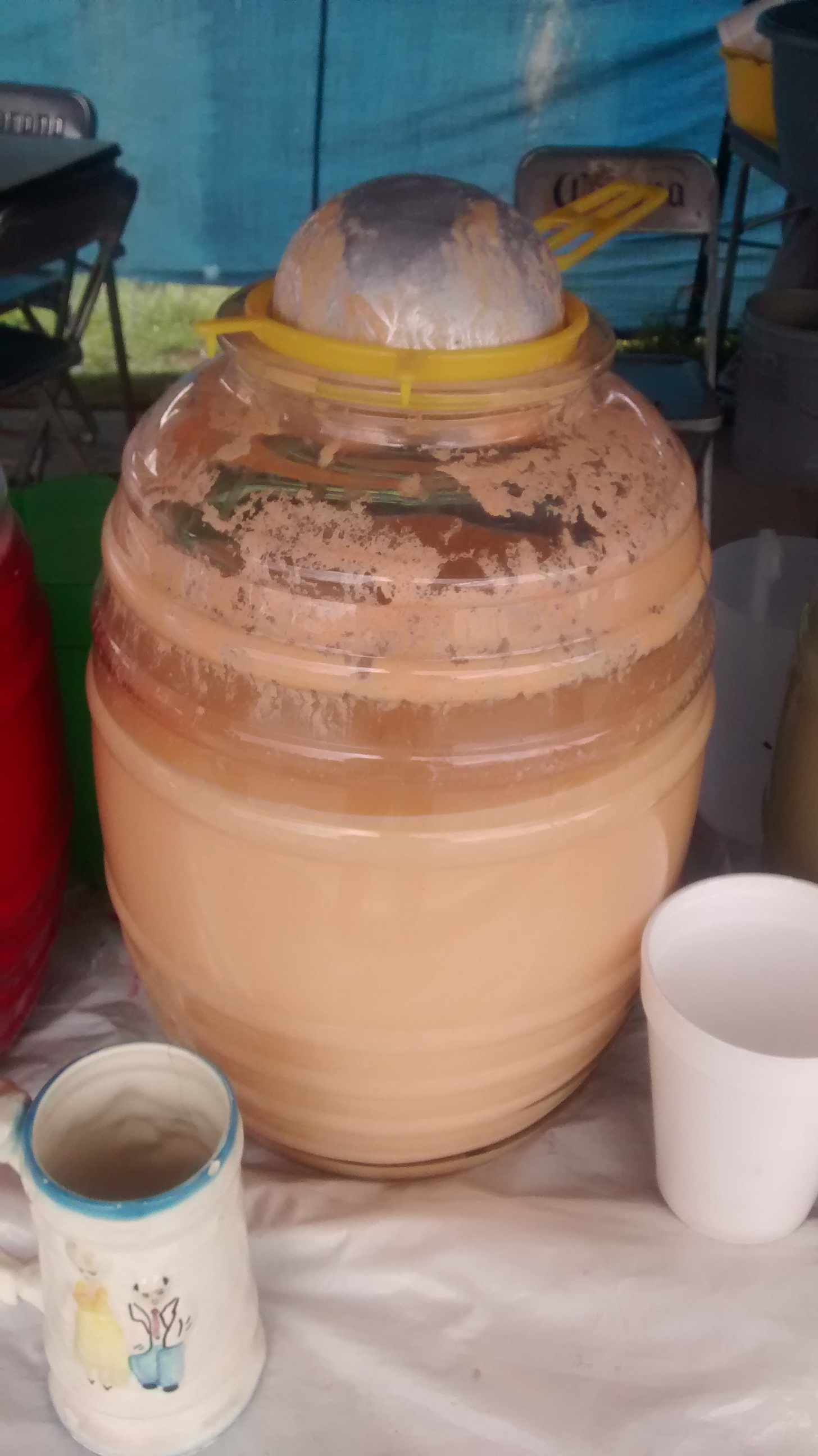 Pulques La Pícara image 6