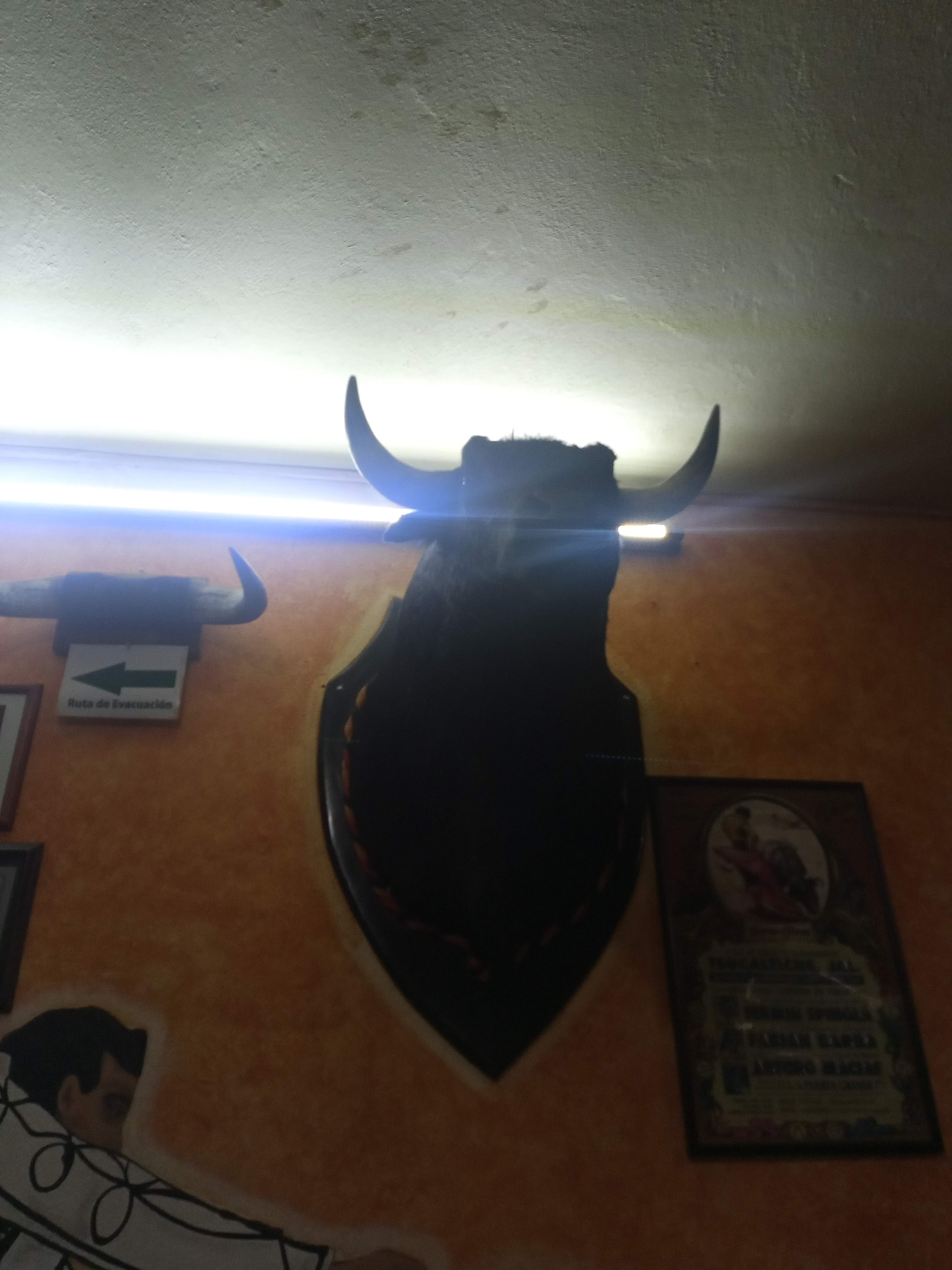 Restaurant Bar El Abanico image 10