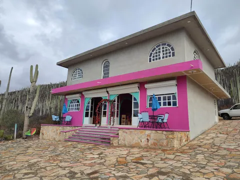🏵Xoxotlani Restaurante🦋 image 4