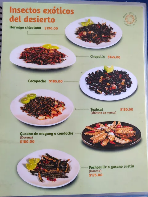 Restaurant Ambar Cocina Regional image 4