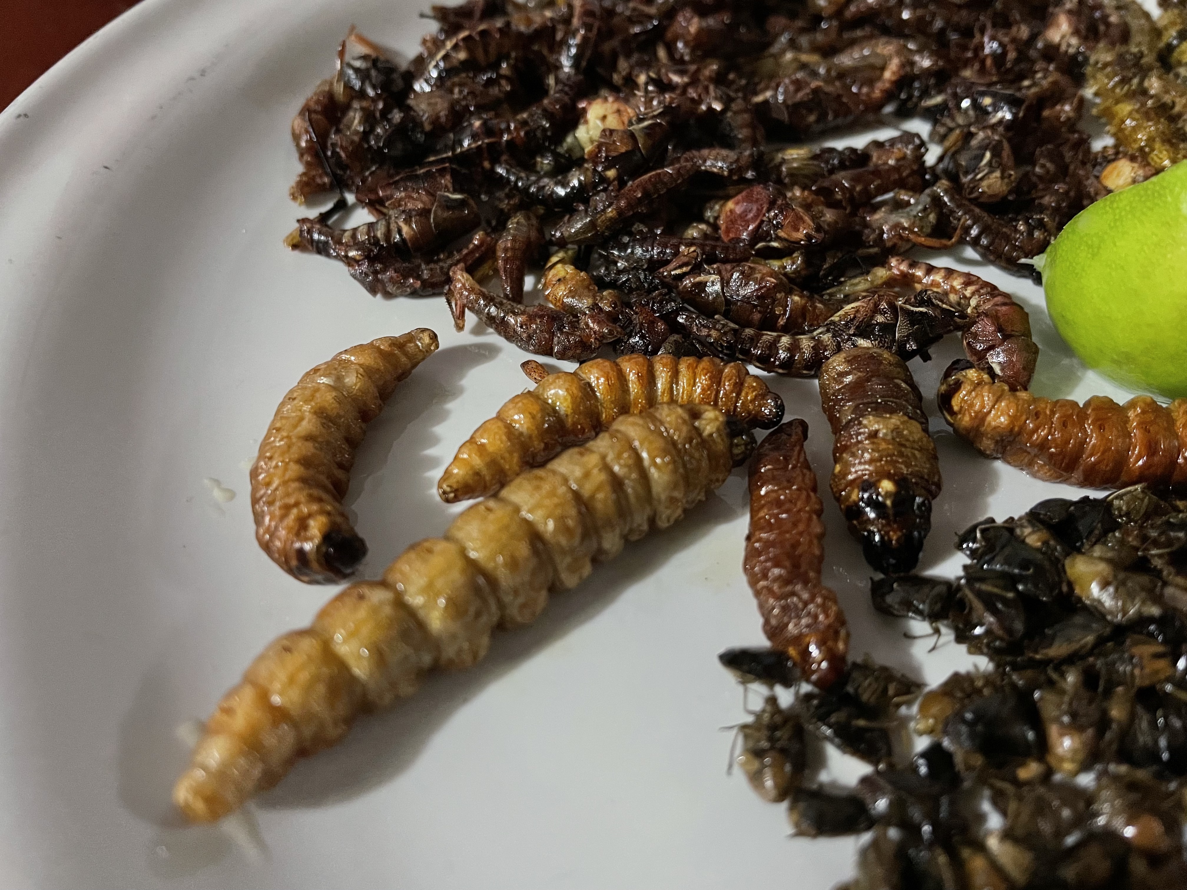 Restaurant Itandehui Flor del Cielo image 4