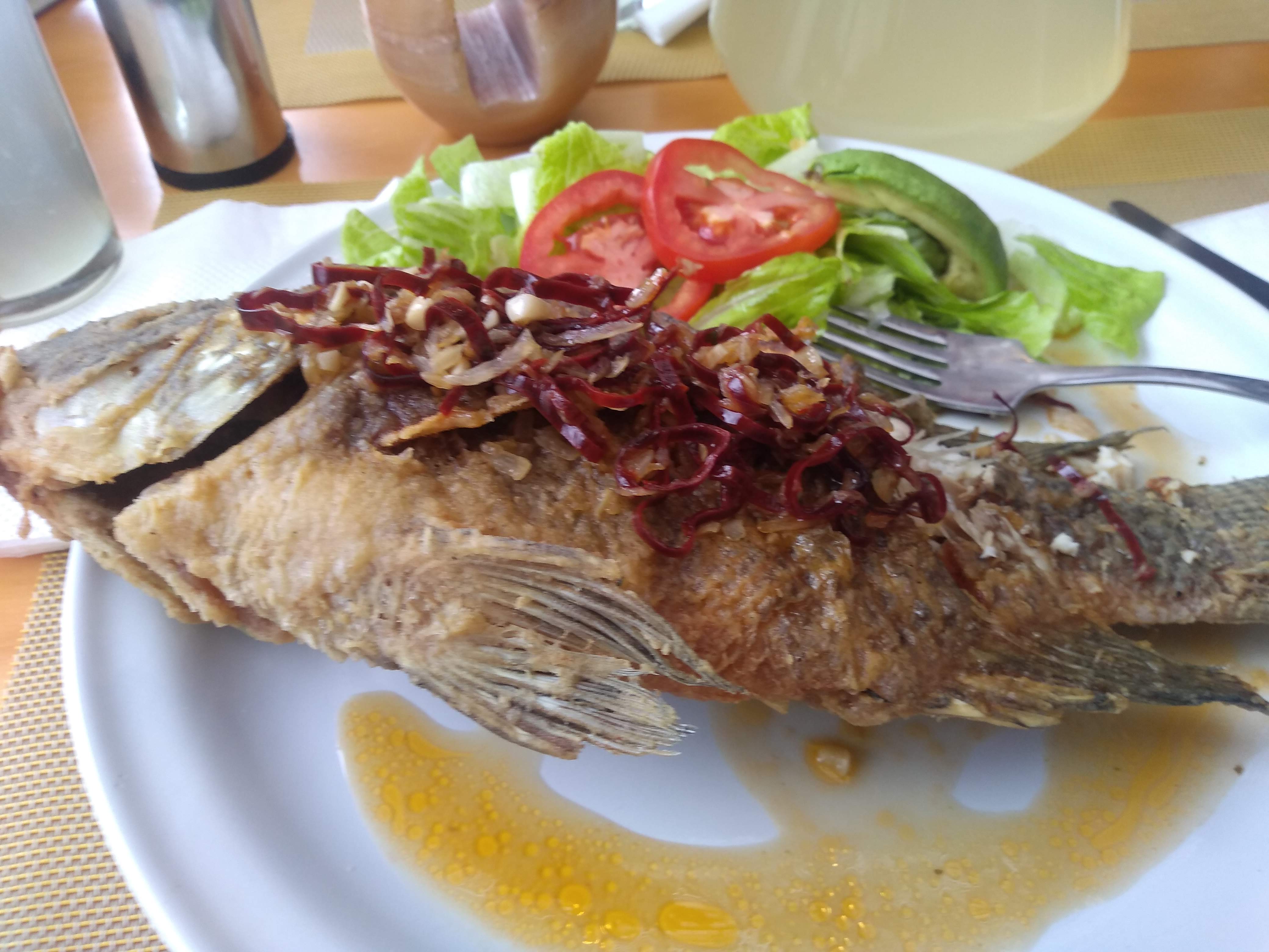 Restaurante "Flor De Garambullo" Comida Regional Y A La Carta image 4