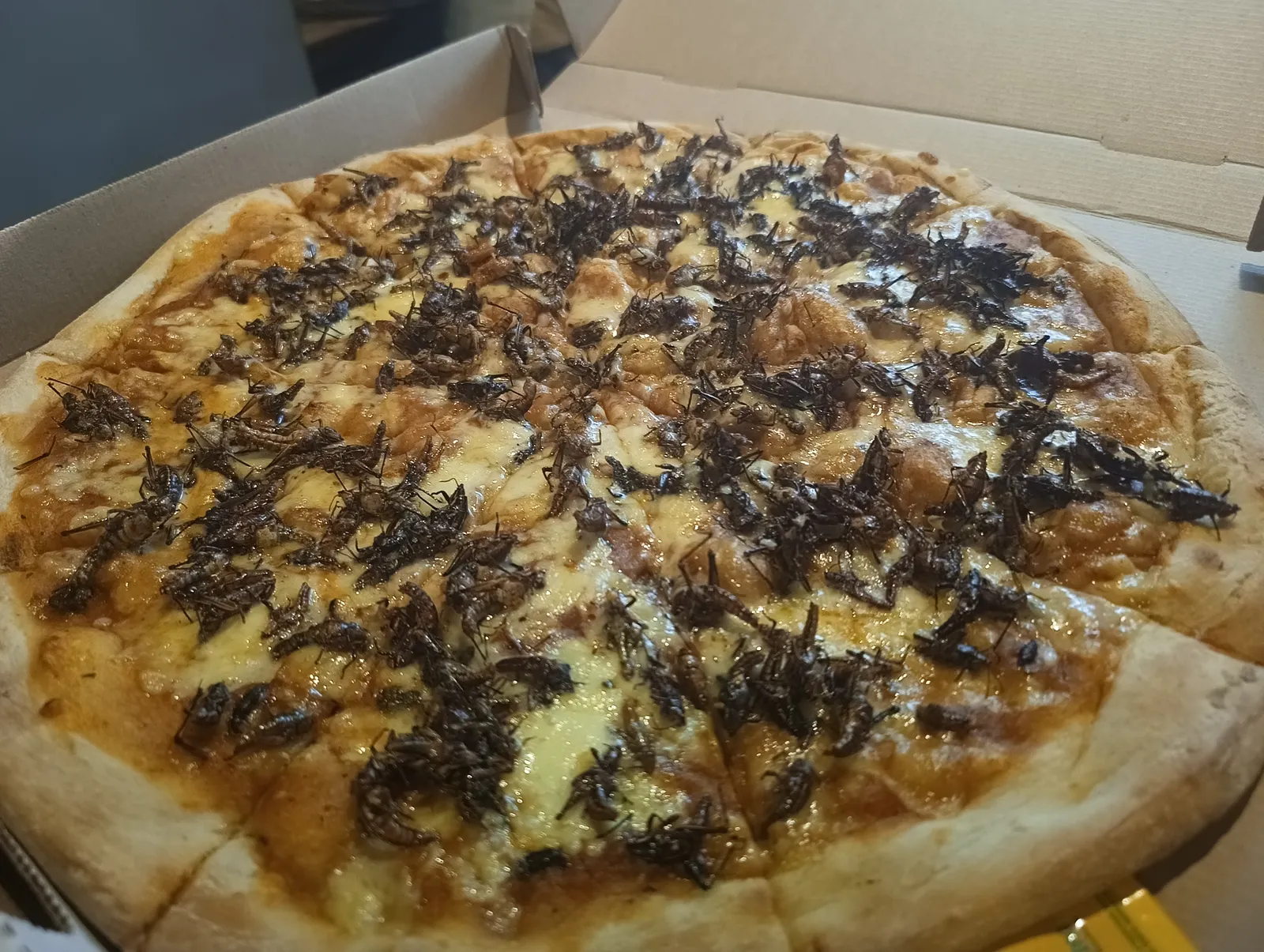Pizzas Peche image 10