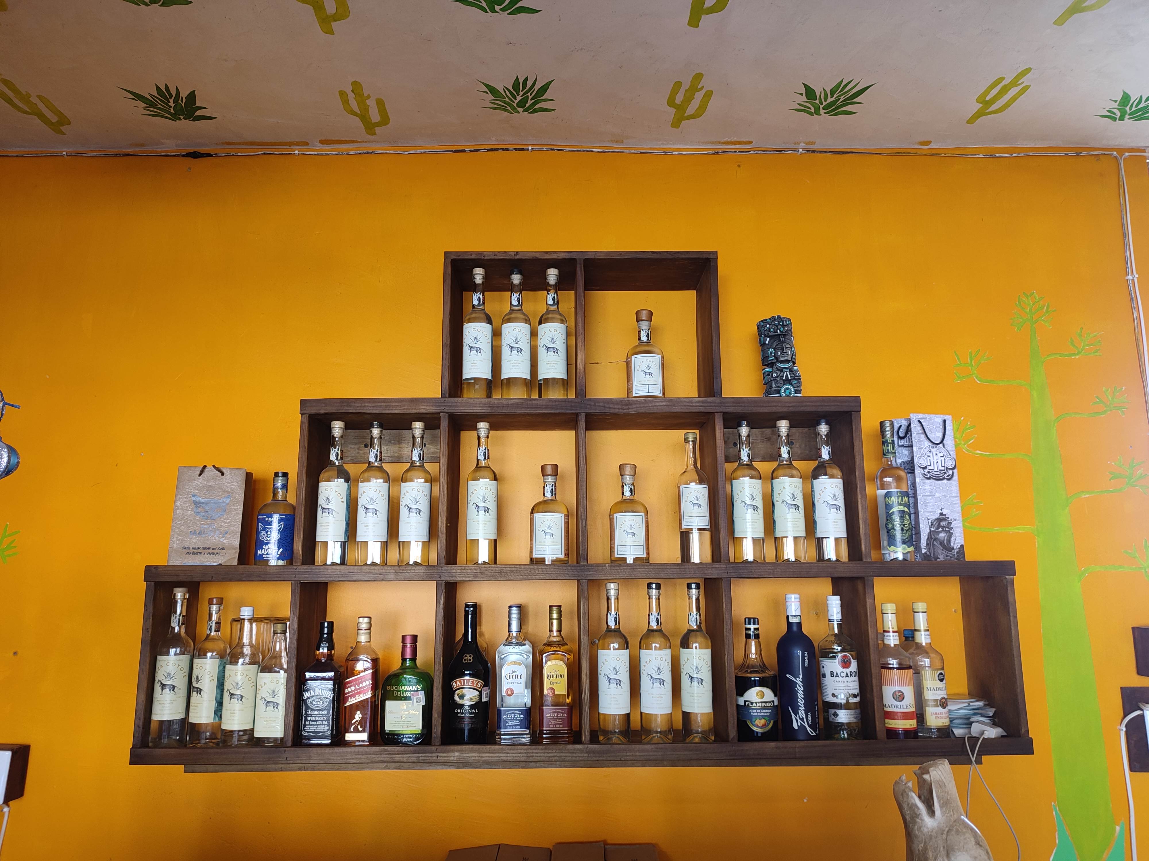 Mezcaleria La Plaza del Coyote 🐺 image 6