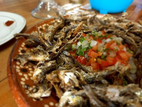 Restaurante "Gorel" image 5