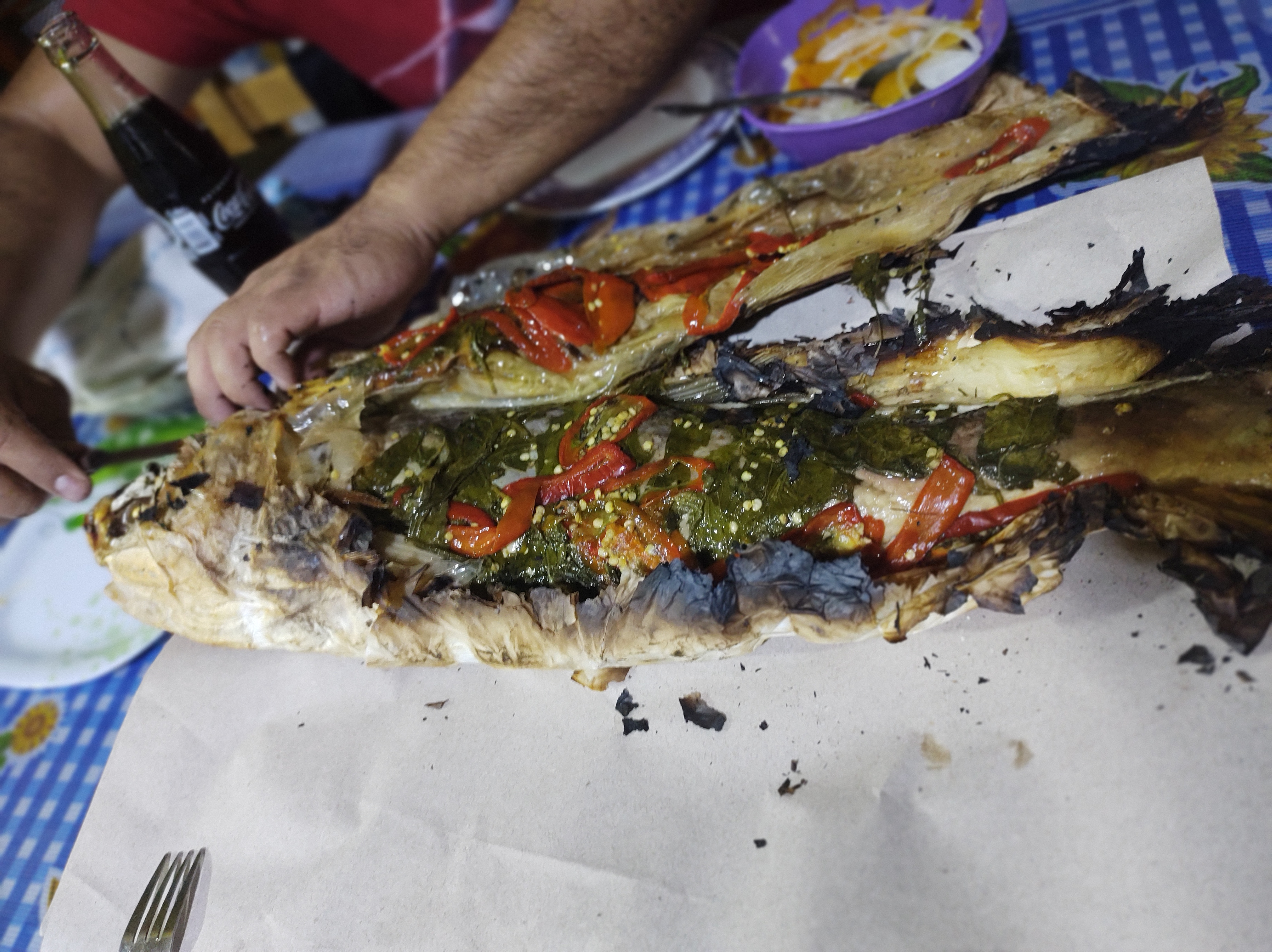 Carpas Don Miguel image 3