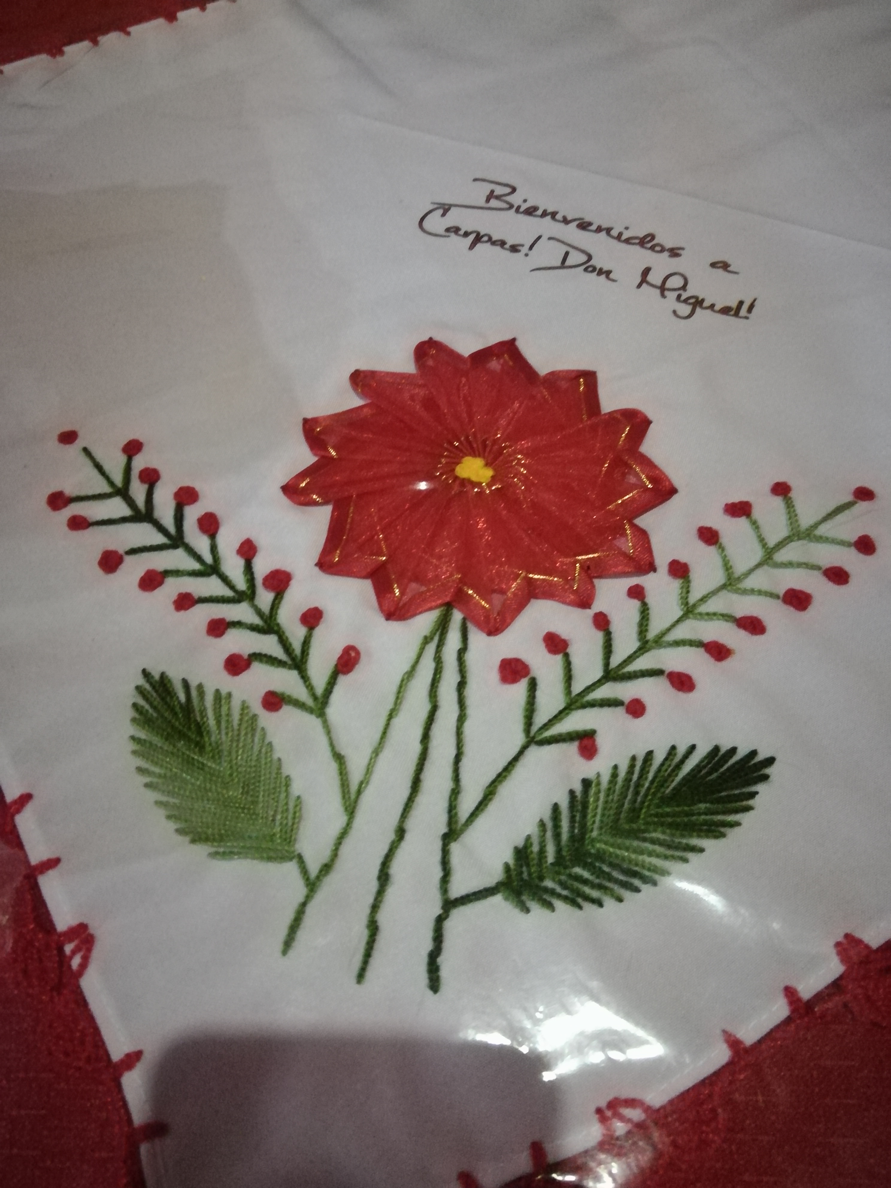 Carpas Don Miguel image 7