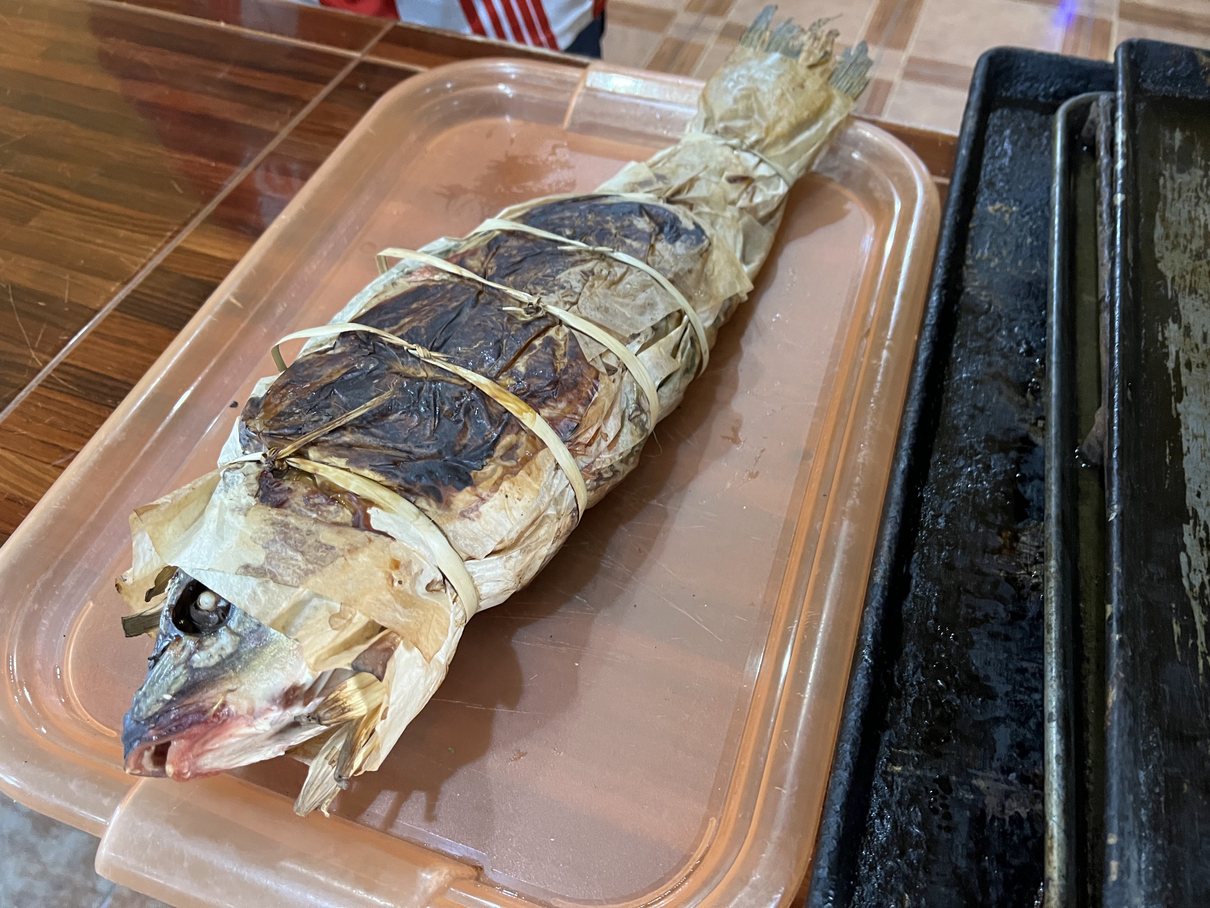 Carpas Esmeralda image 5