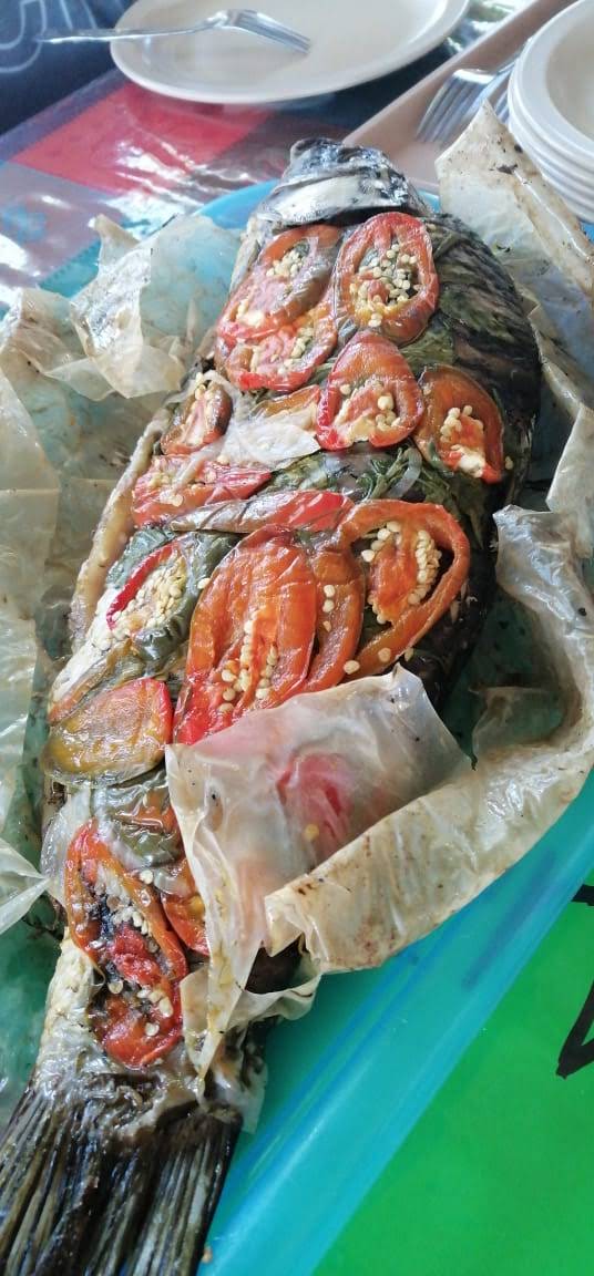 Carpas Esmeralda image 6