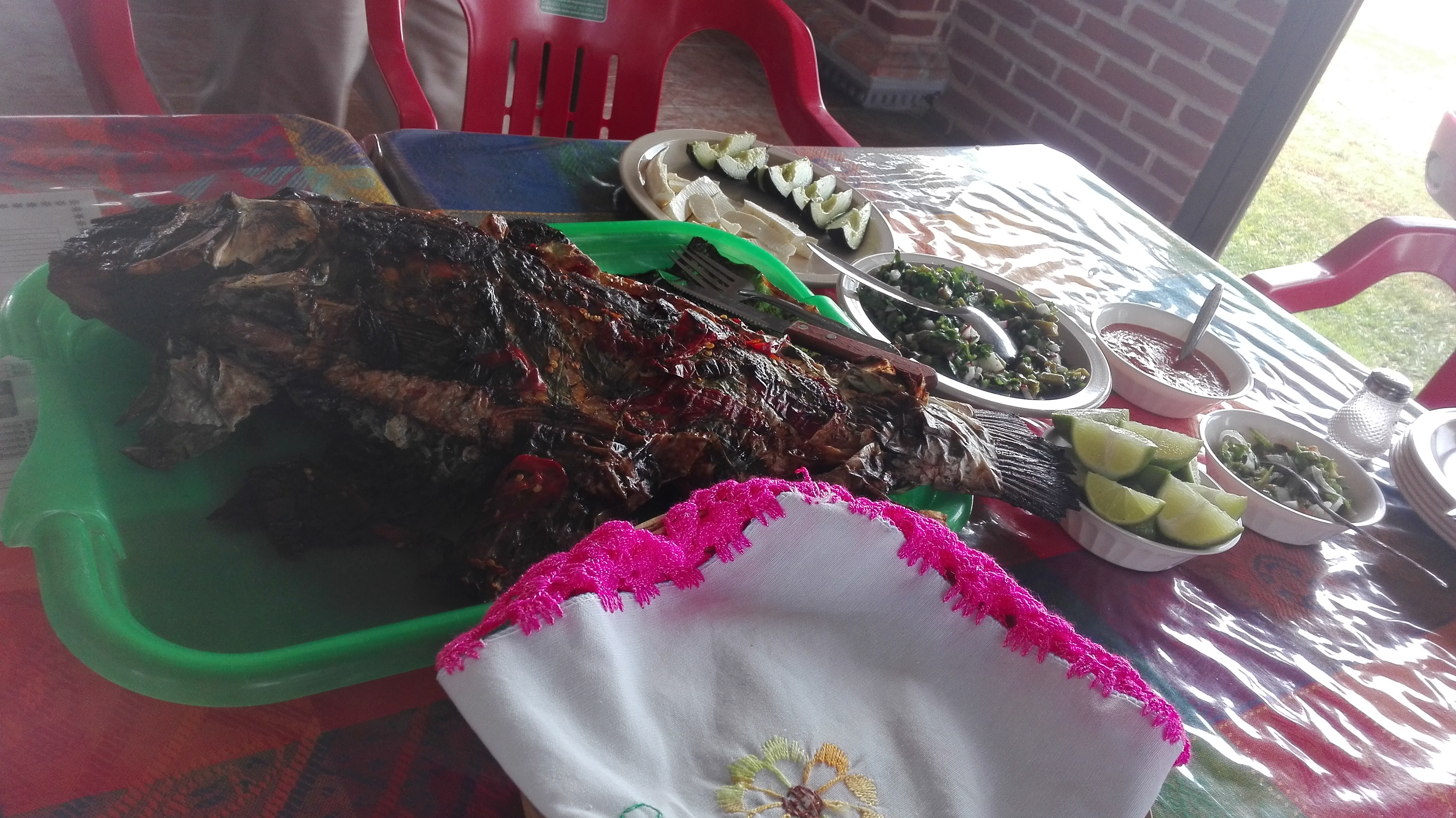 Carpas Esmeralda image 8