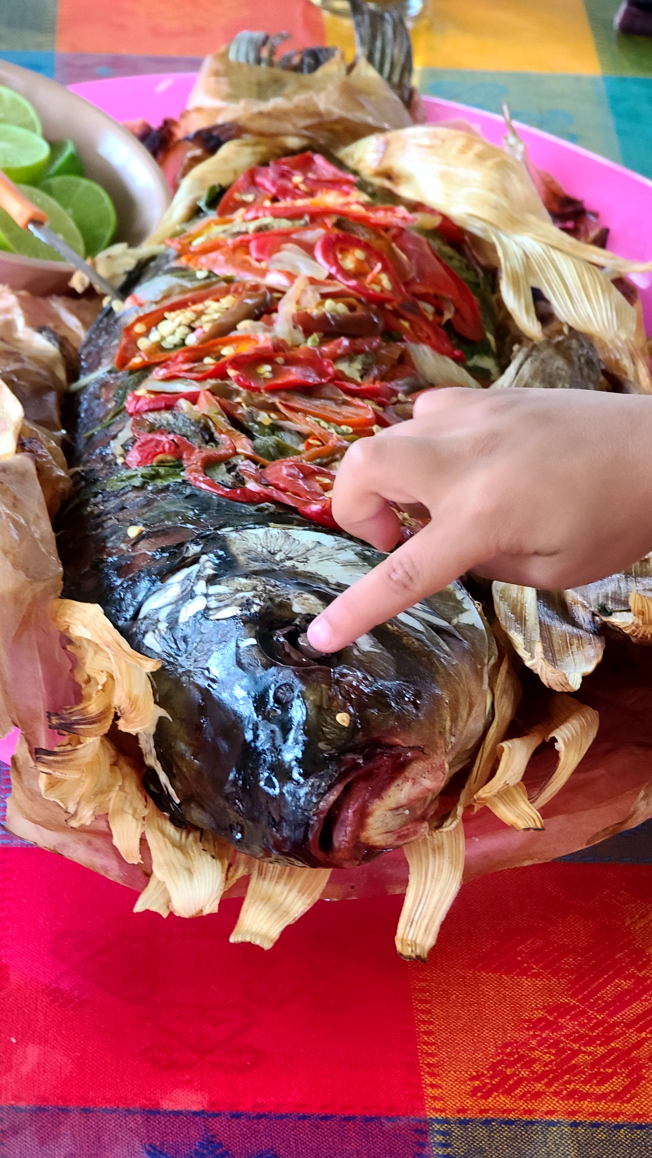 Carpas Esmeralda image 9