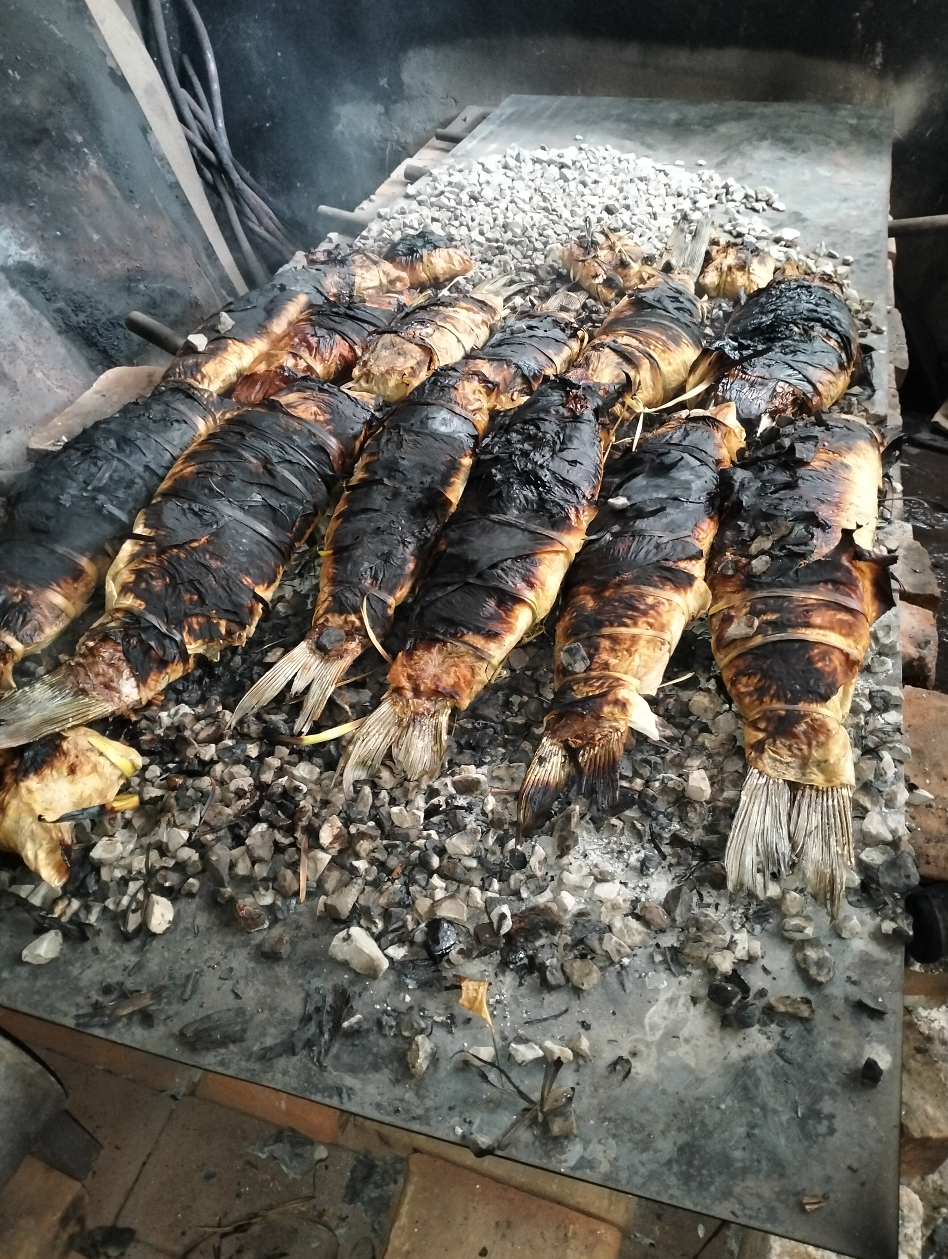 Carpas Quiroz image 1