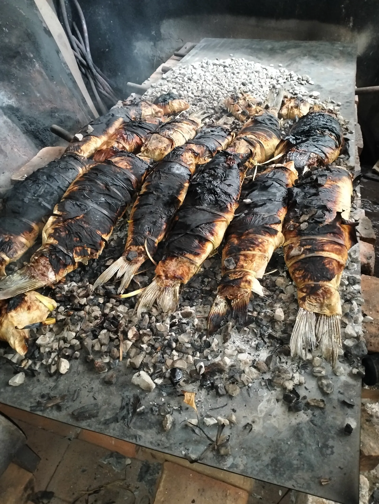 Carpas Quiroz image 1
