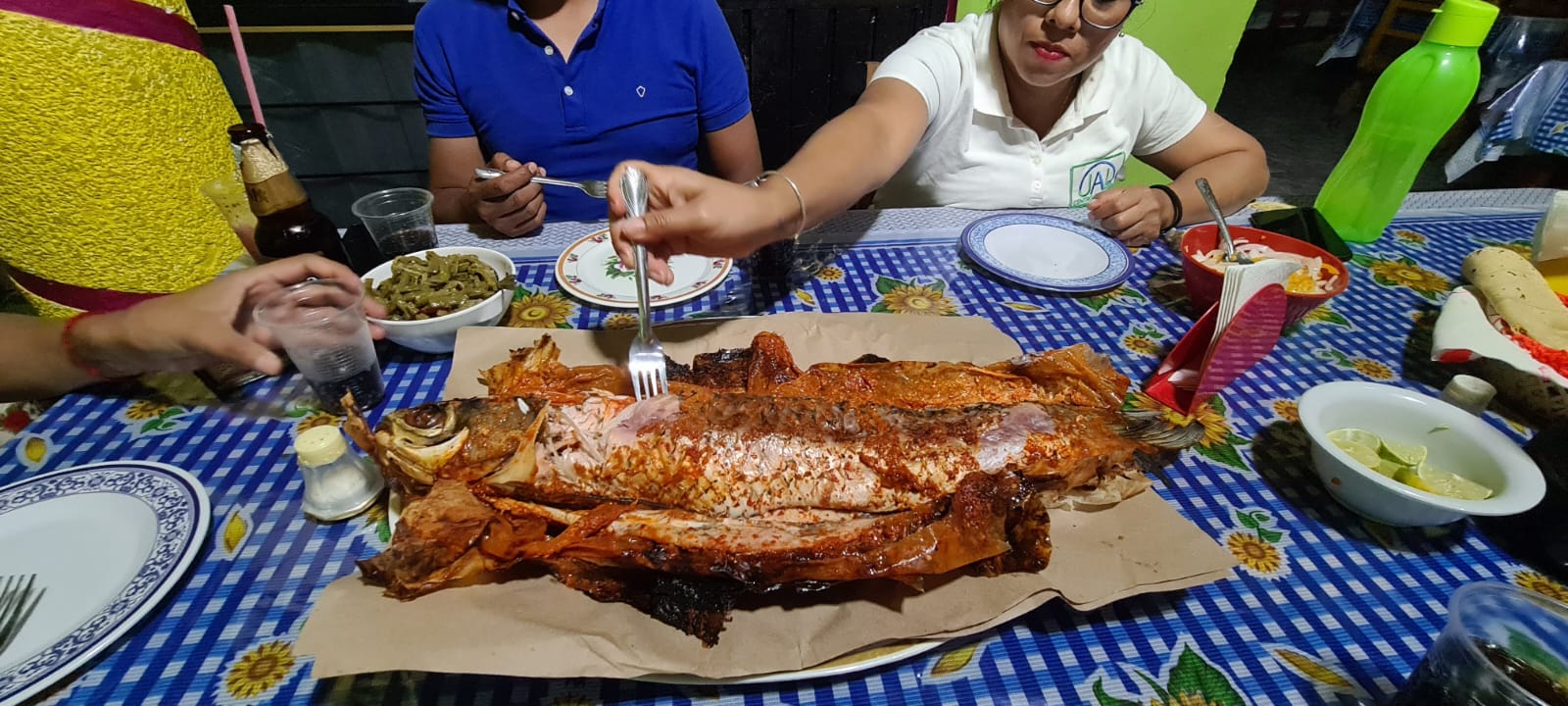 Carpas Quiroz image 3