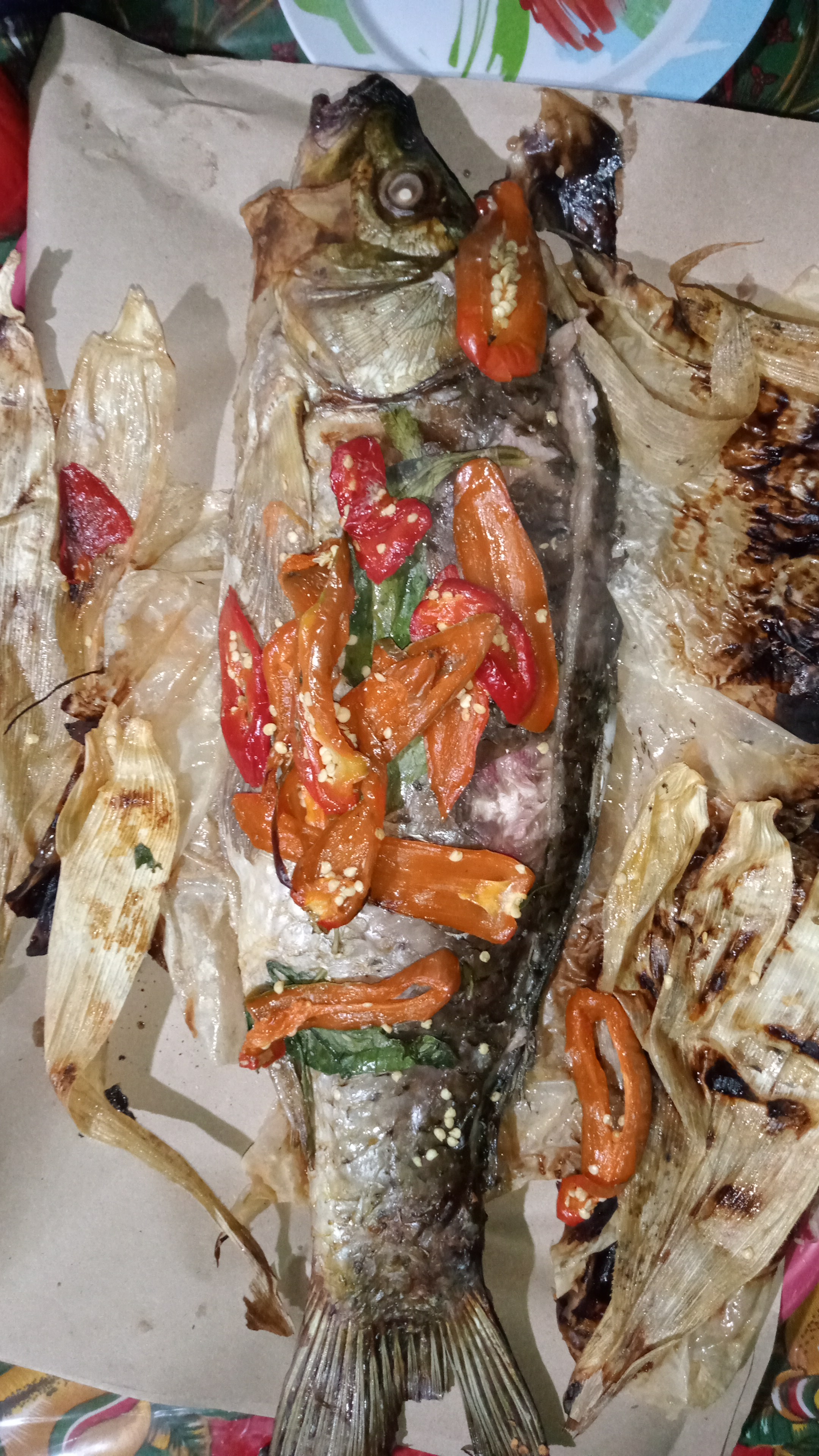 Carpas Quiroz image 4