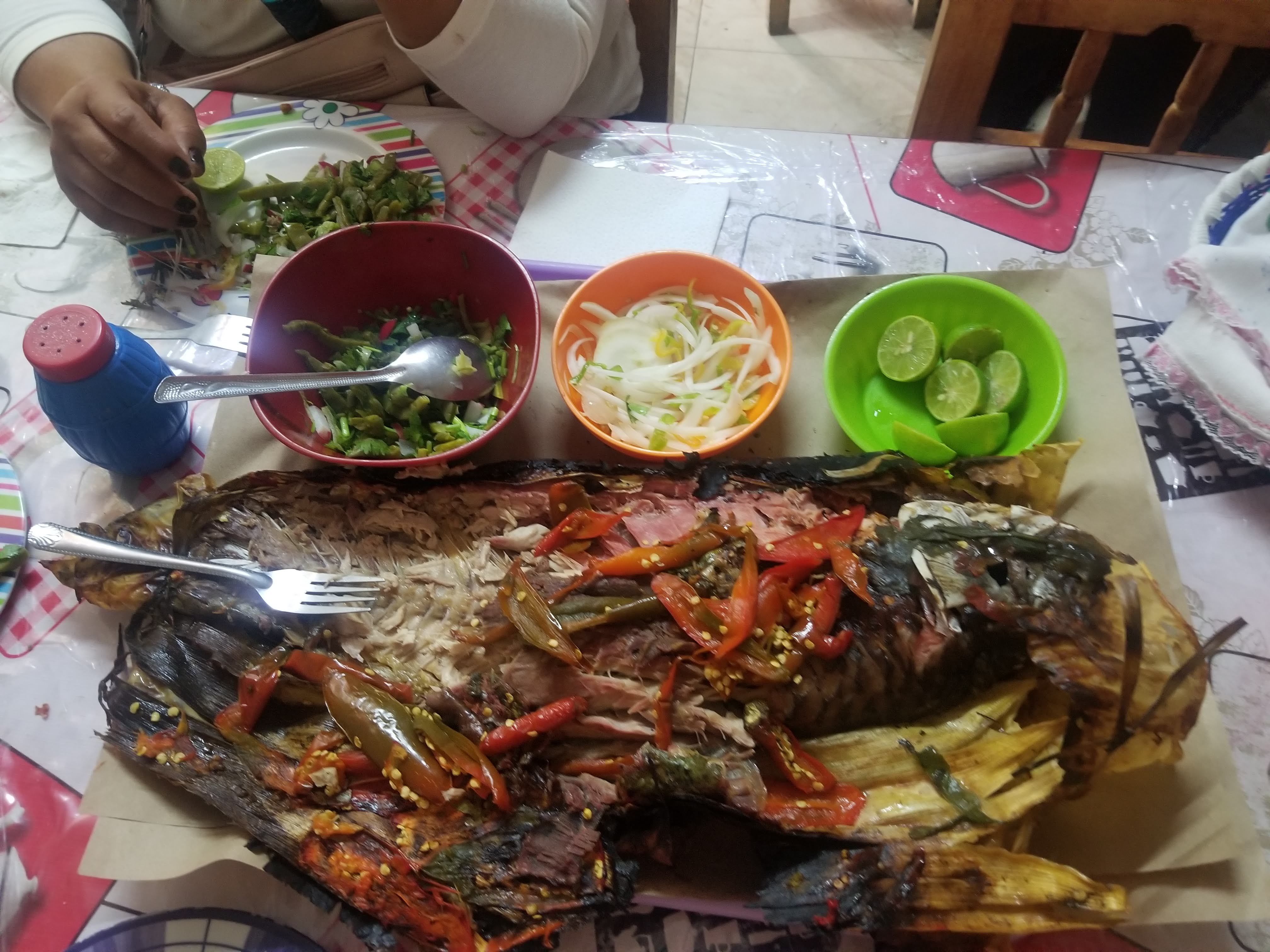 Carpas Quiroz image 5