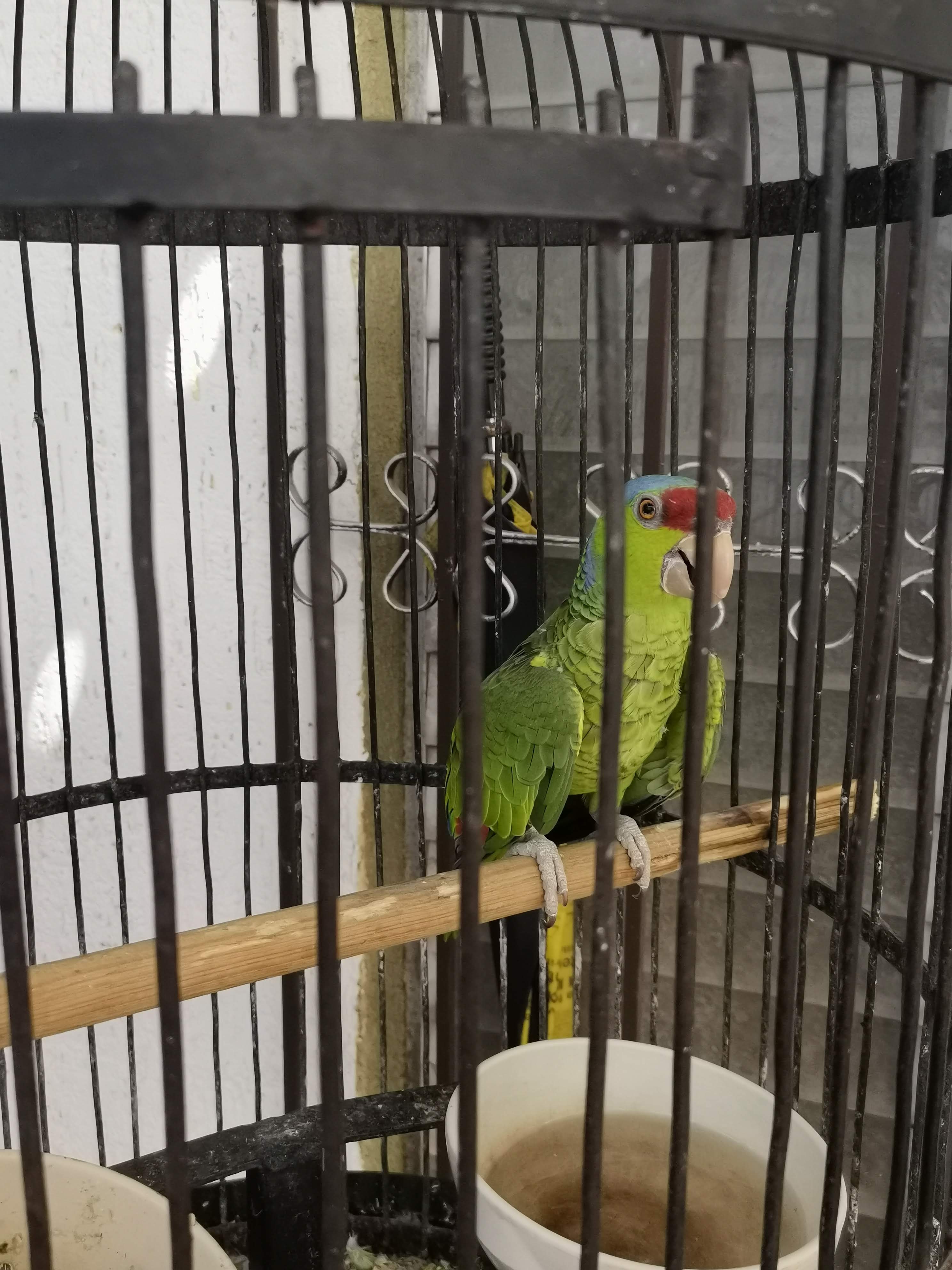 Restaurante La Cahuama de Andrés image 9