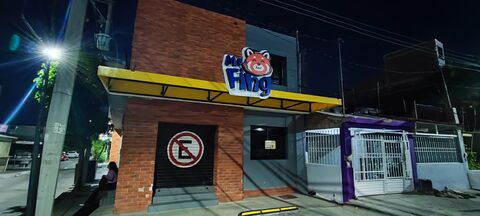 Mr. Fing image 7