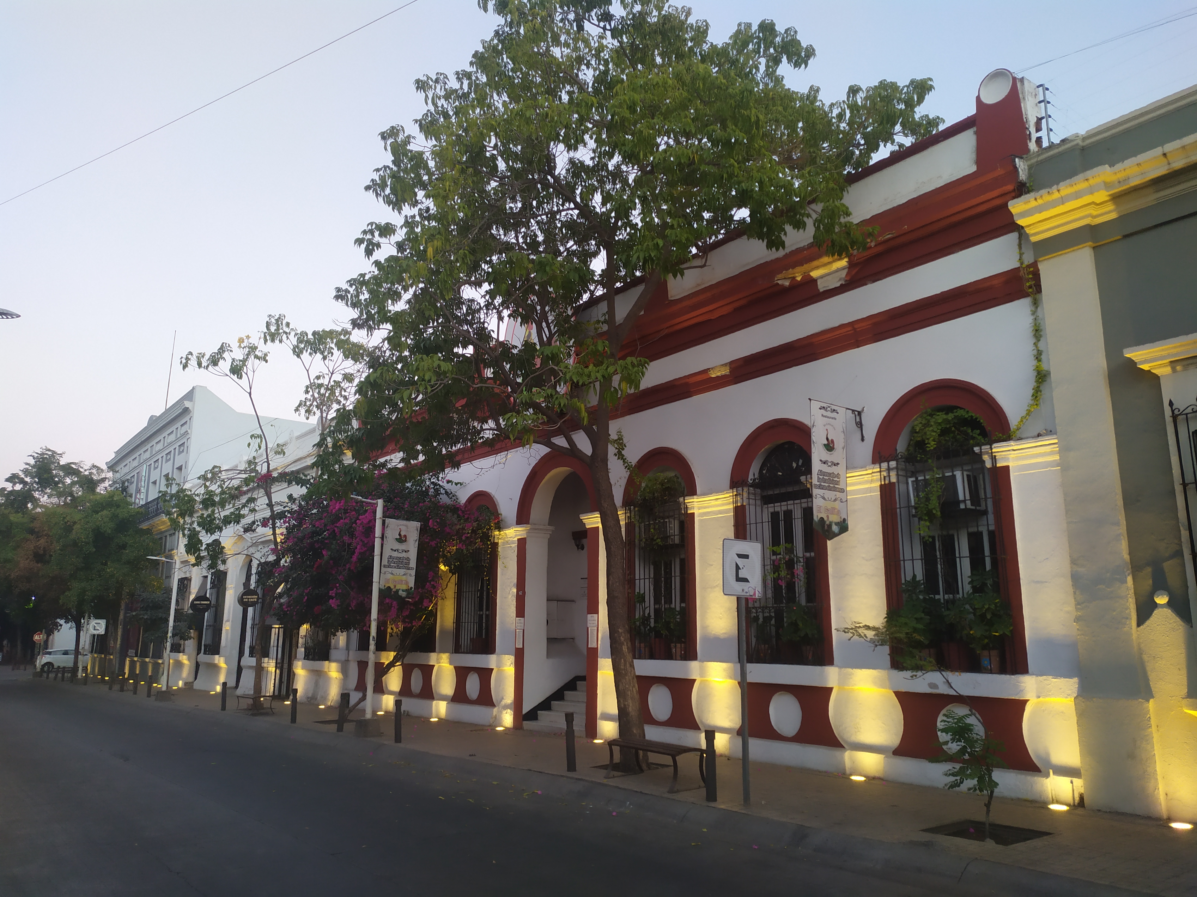 El Gallito Centro image 4