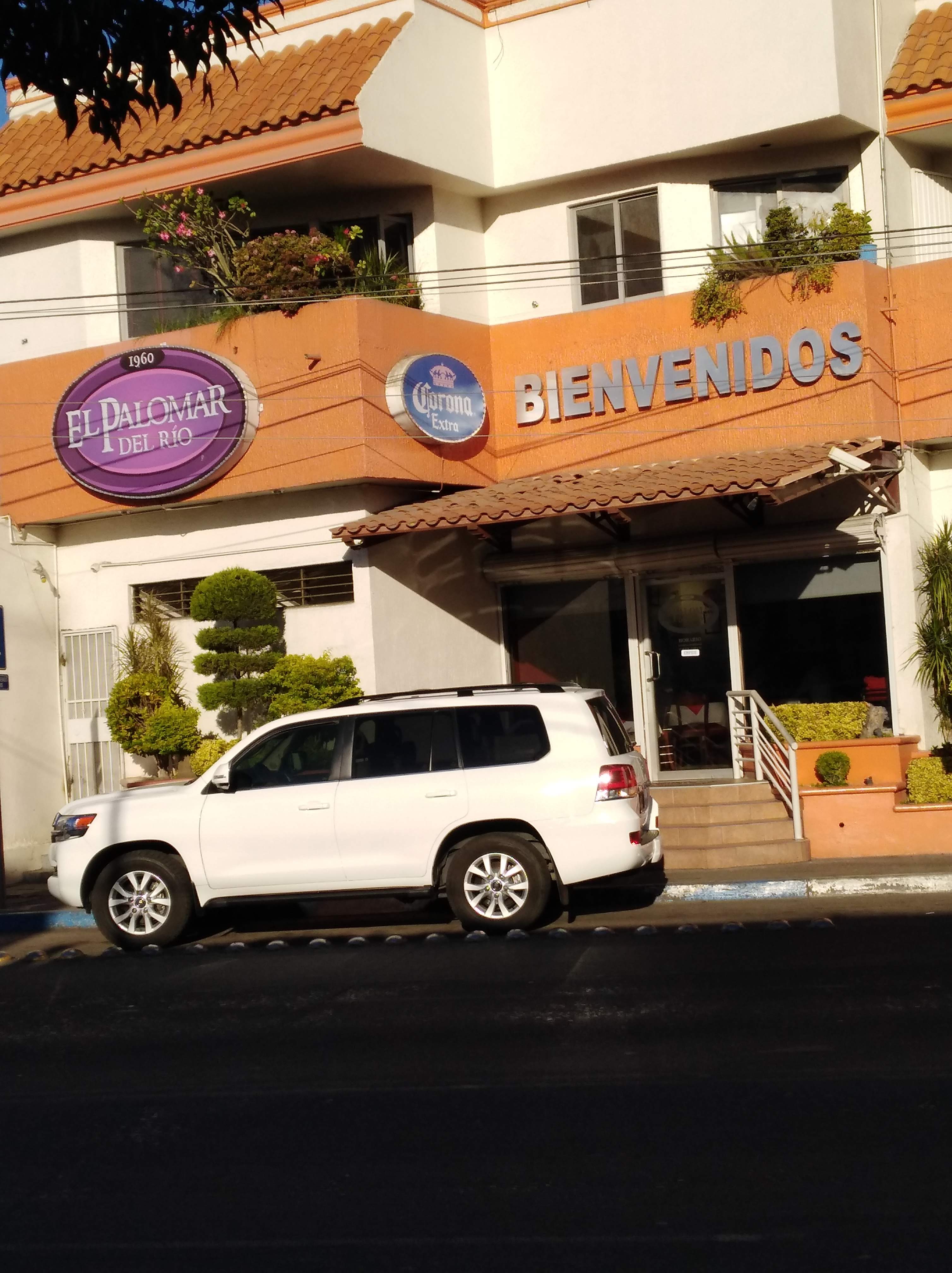 Restaurant Palomar del Río image 1