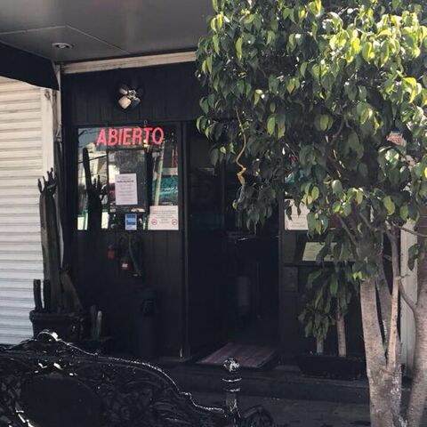 Los Chato's image 8