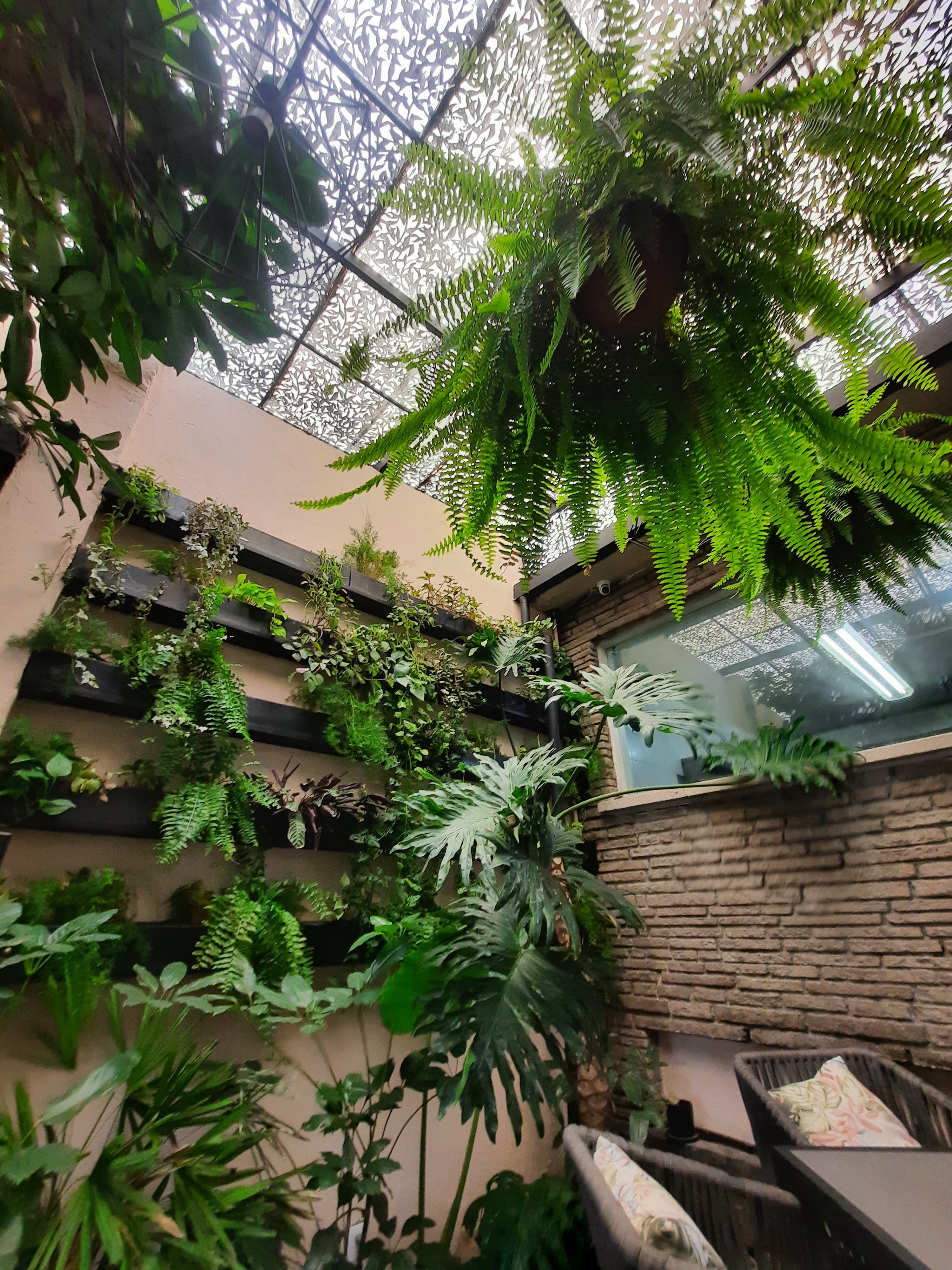 Oasis restaurante-terraza-eventos image 4