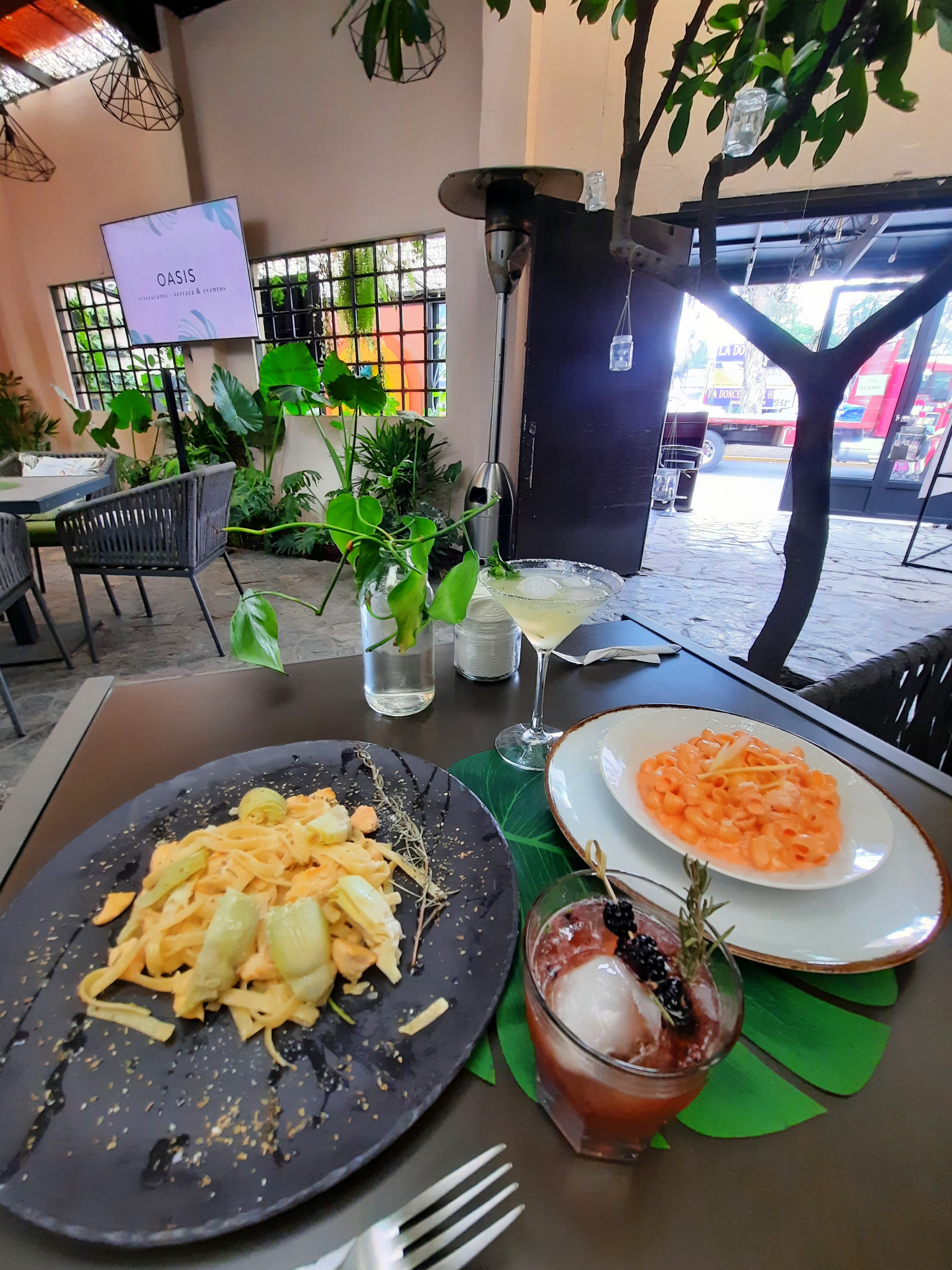 Oasis restaurante-terraza-eventos image 5