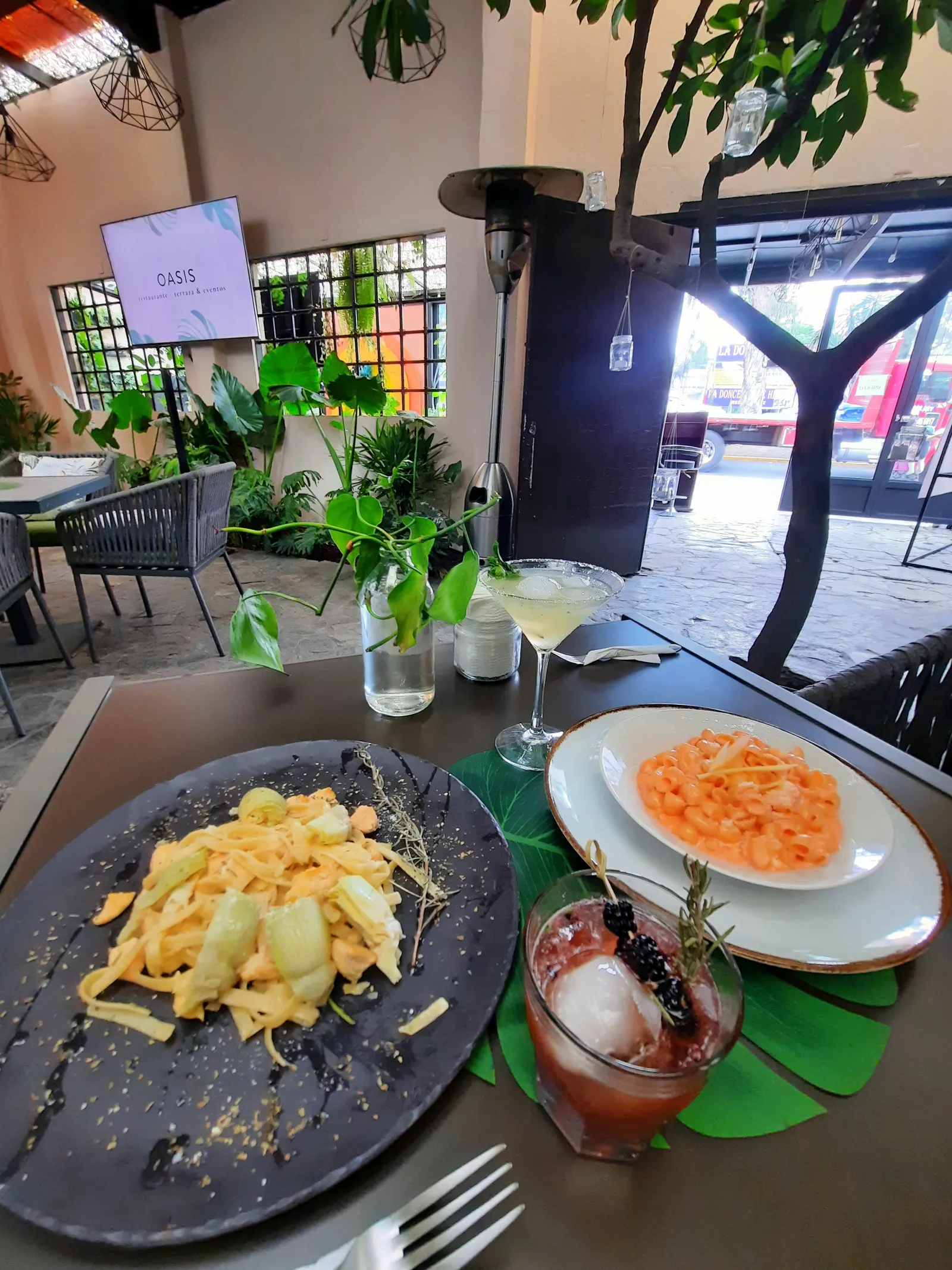 Oasis restaurante-terraza-eventos image 5