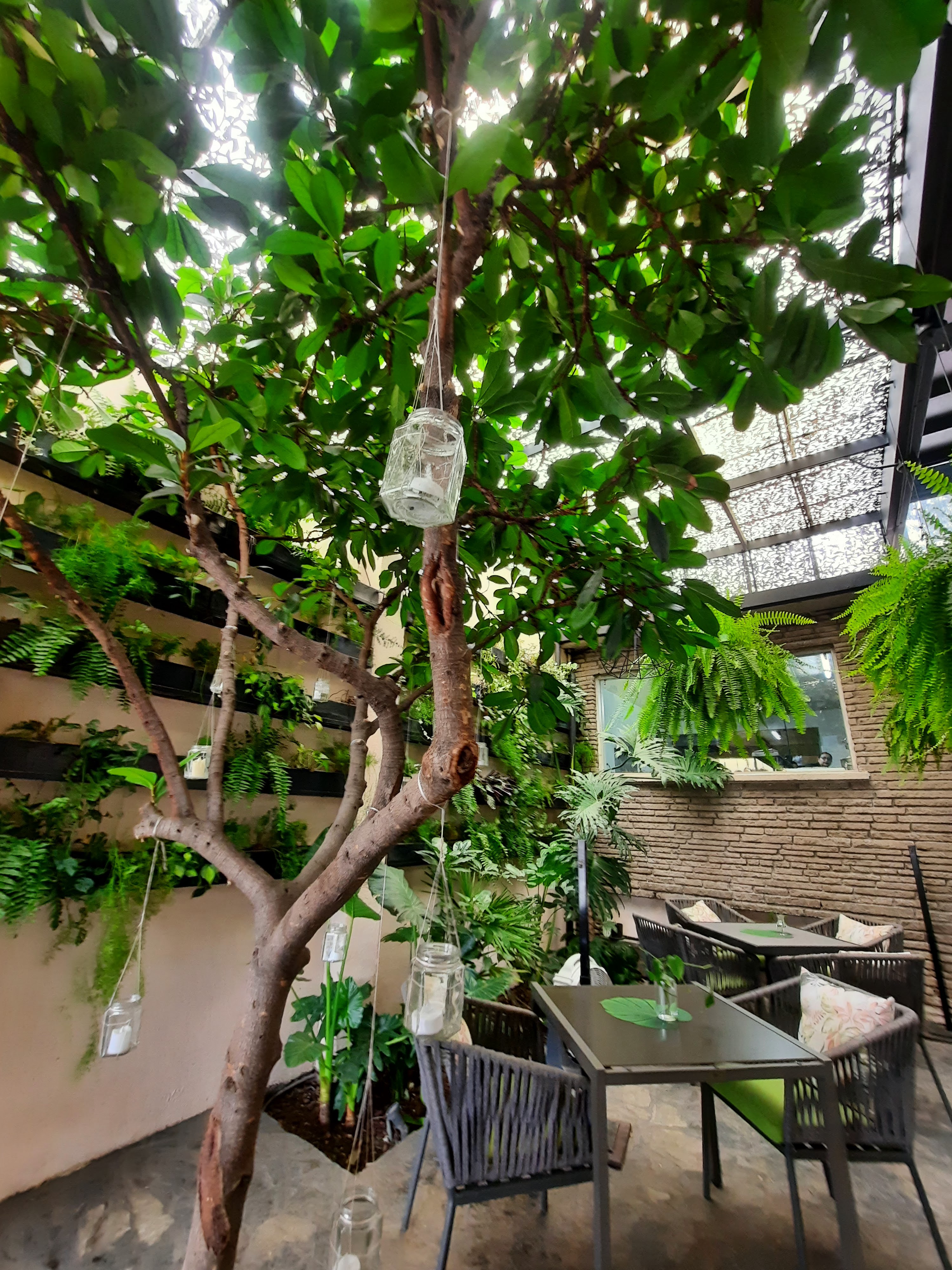 Oasis restaurante-terraza-eventos image 7